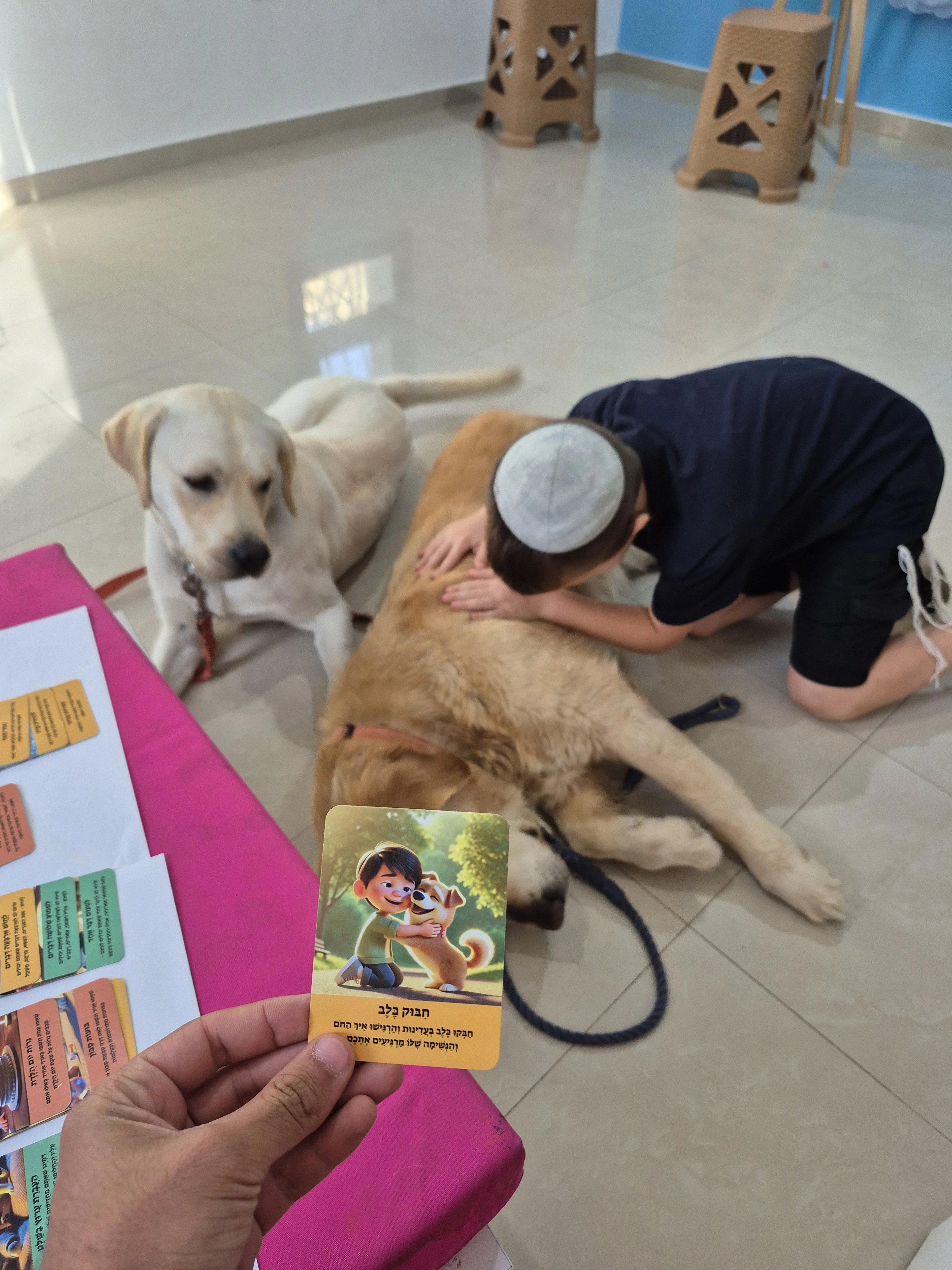 הדרך אל החוסן