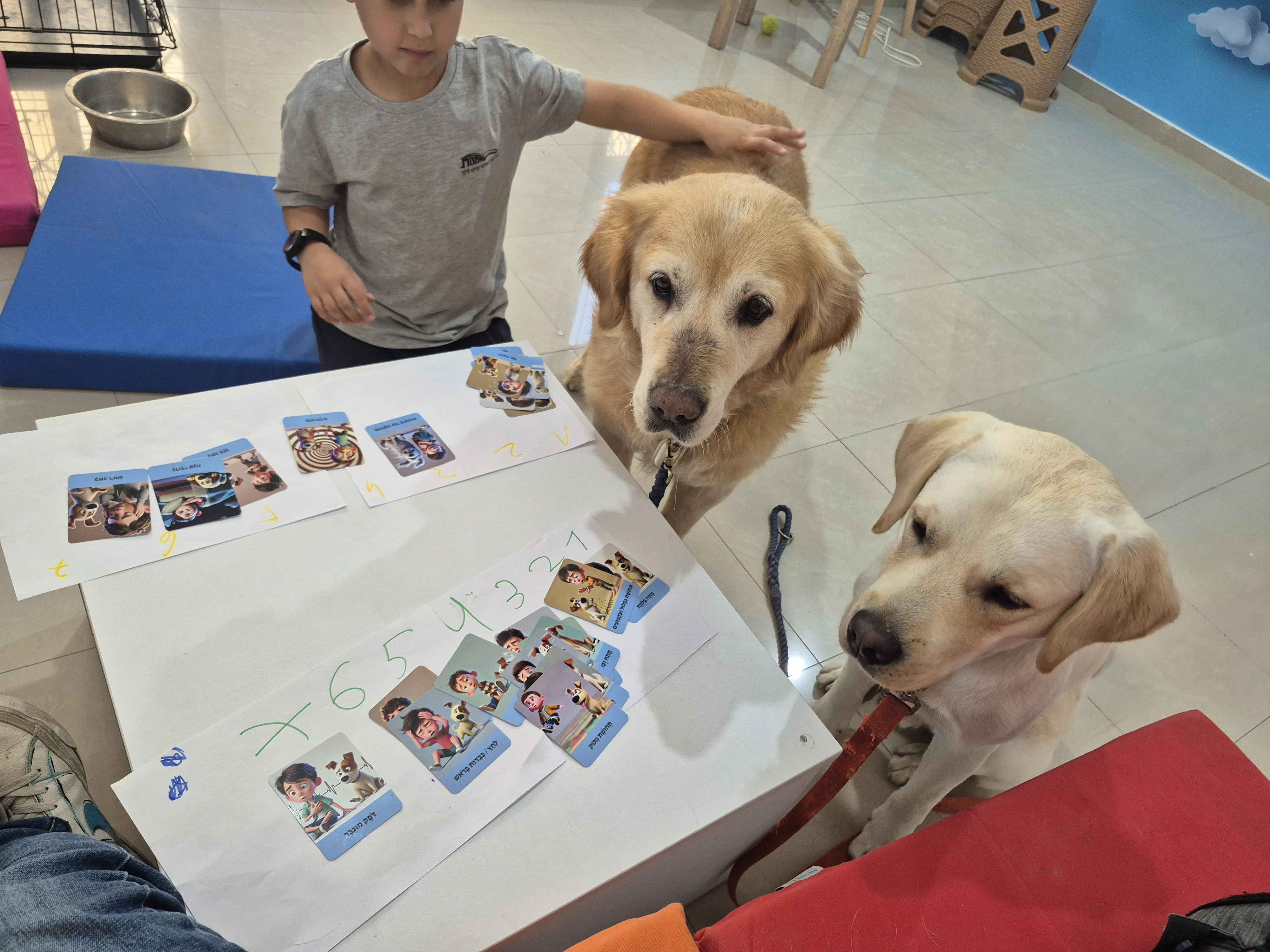 הדרך אל החוסן