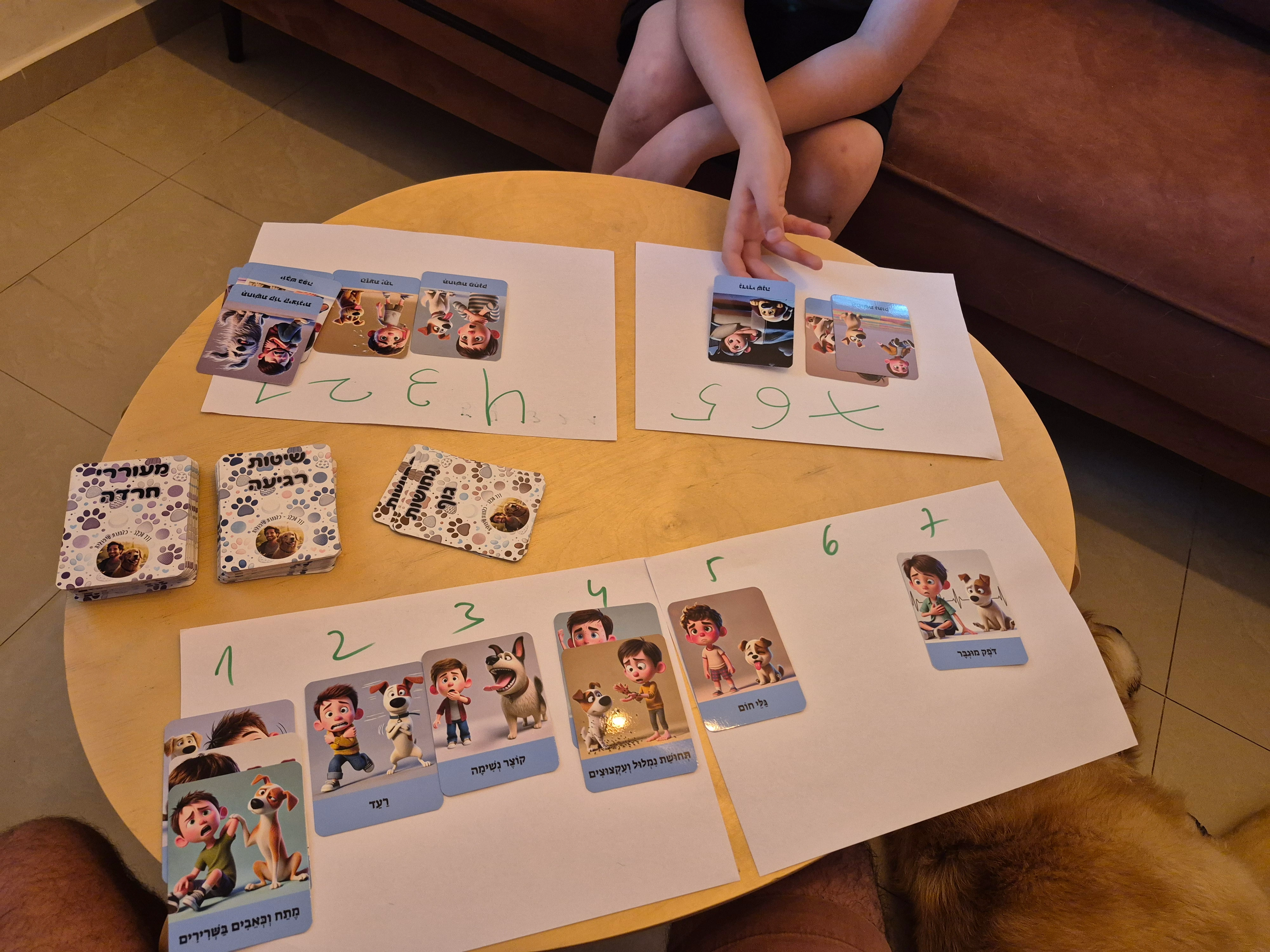 הדרך אל החוסן