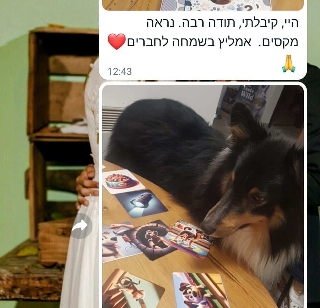 לכל בעיה פתרון