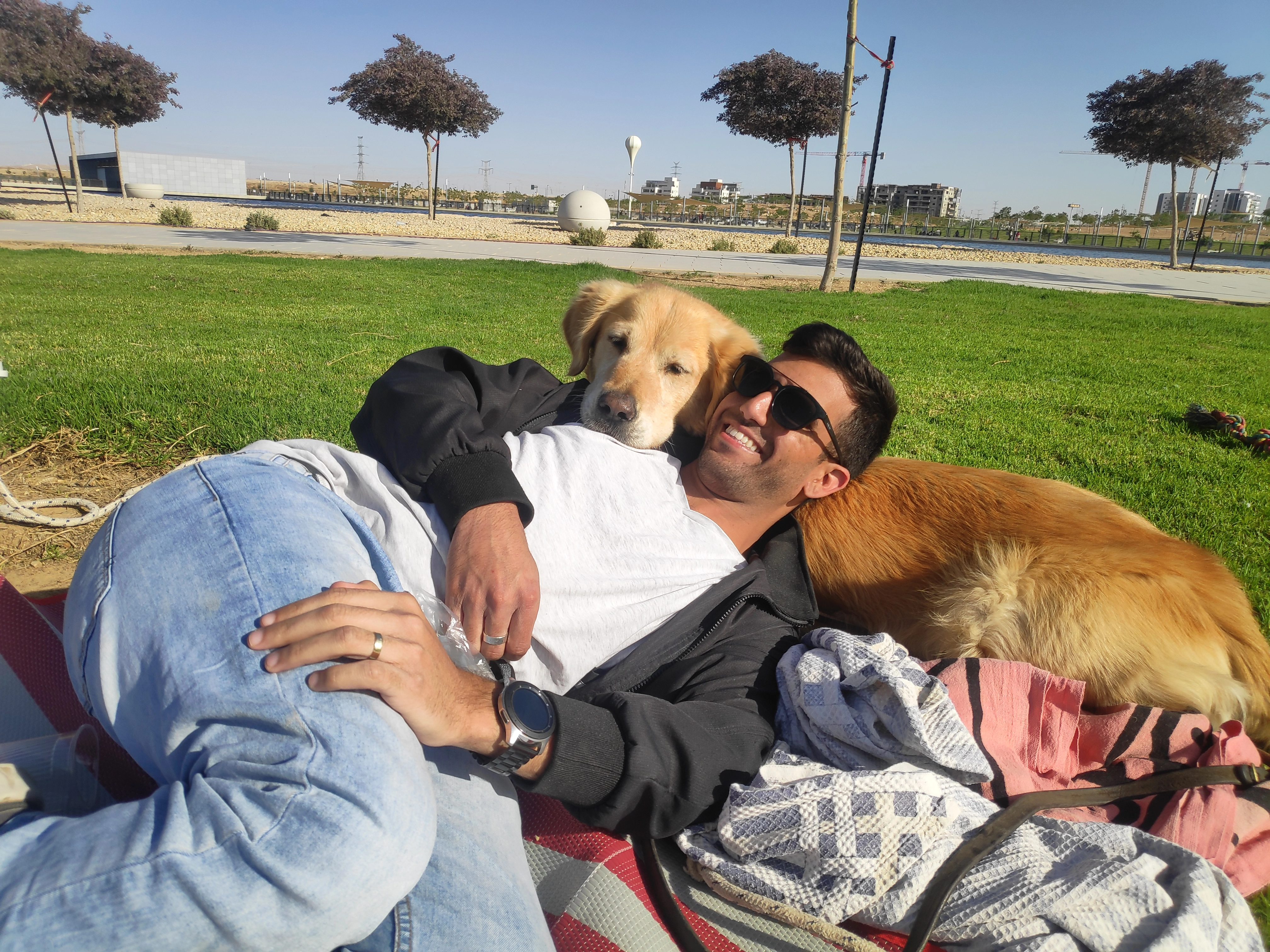 פעילות דרך הכלב