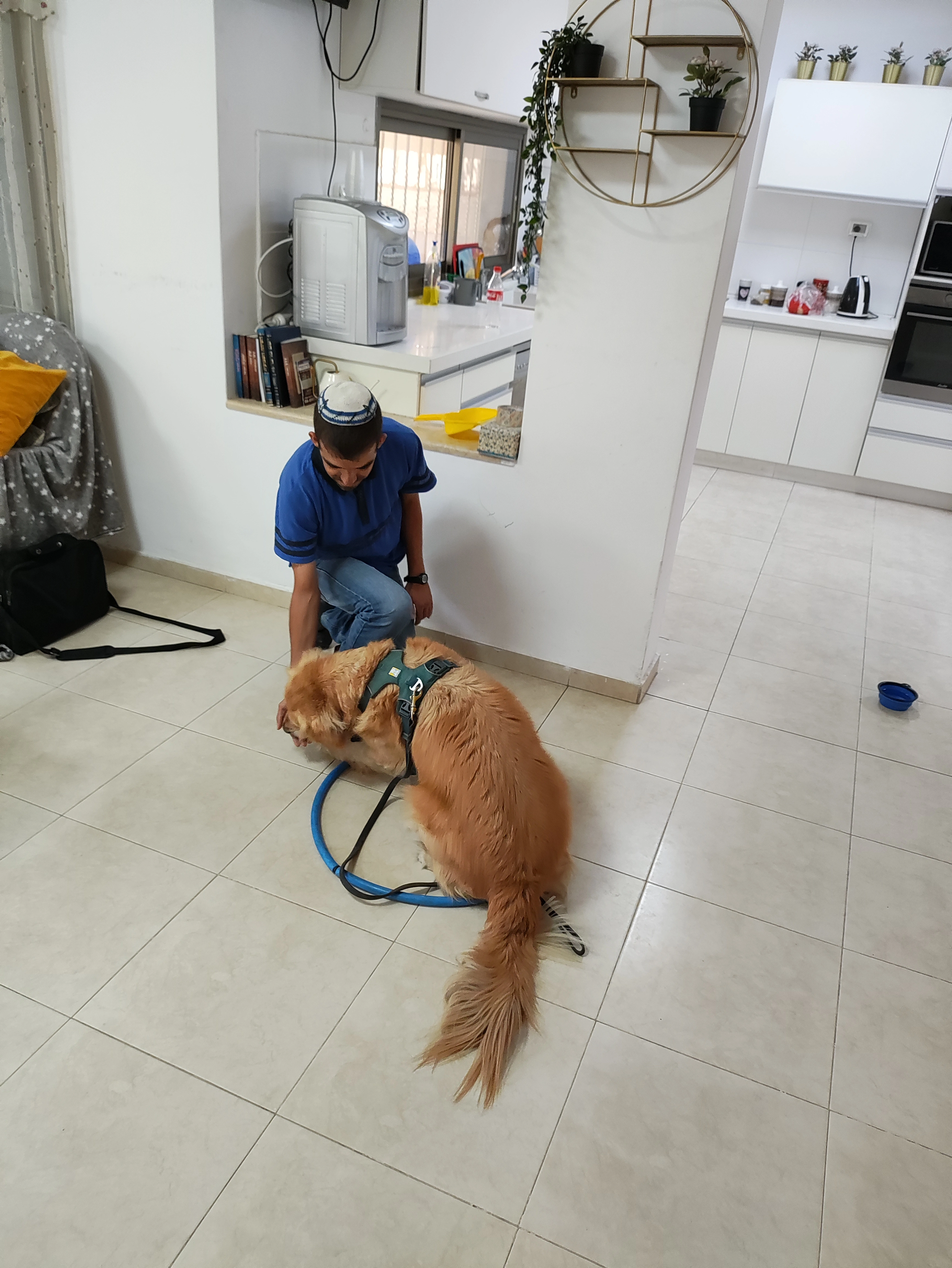 פעילות דרך הכלב