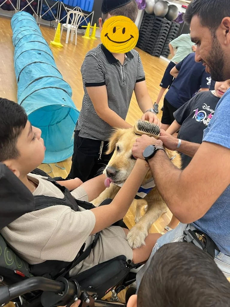 פעילות דרך הכלב