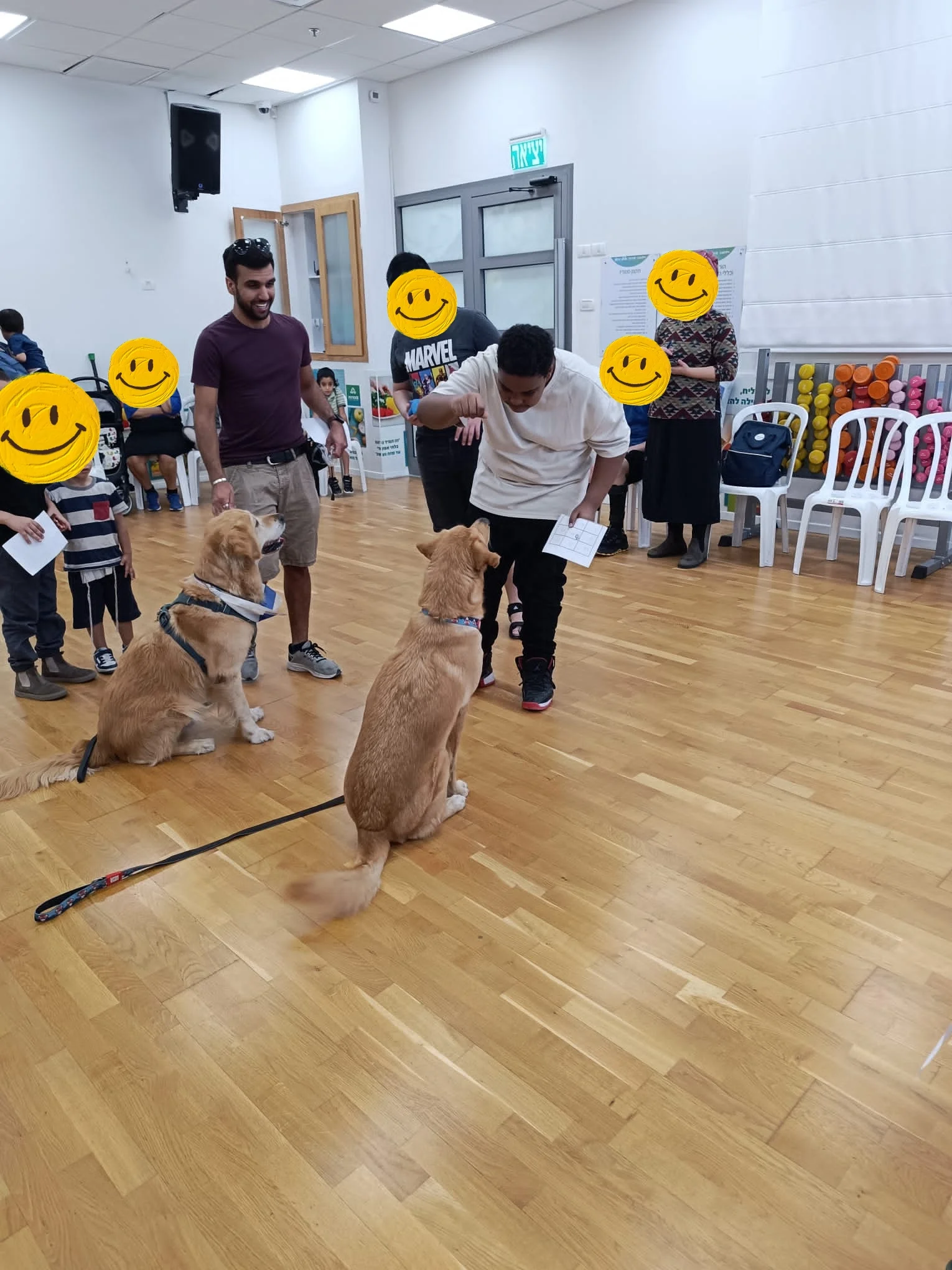 פעילות דרך הכלב