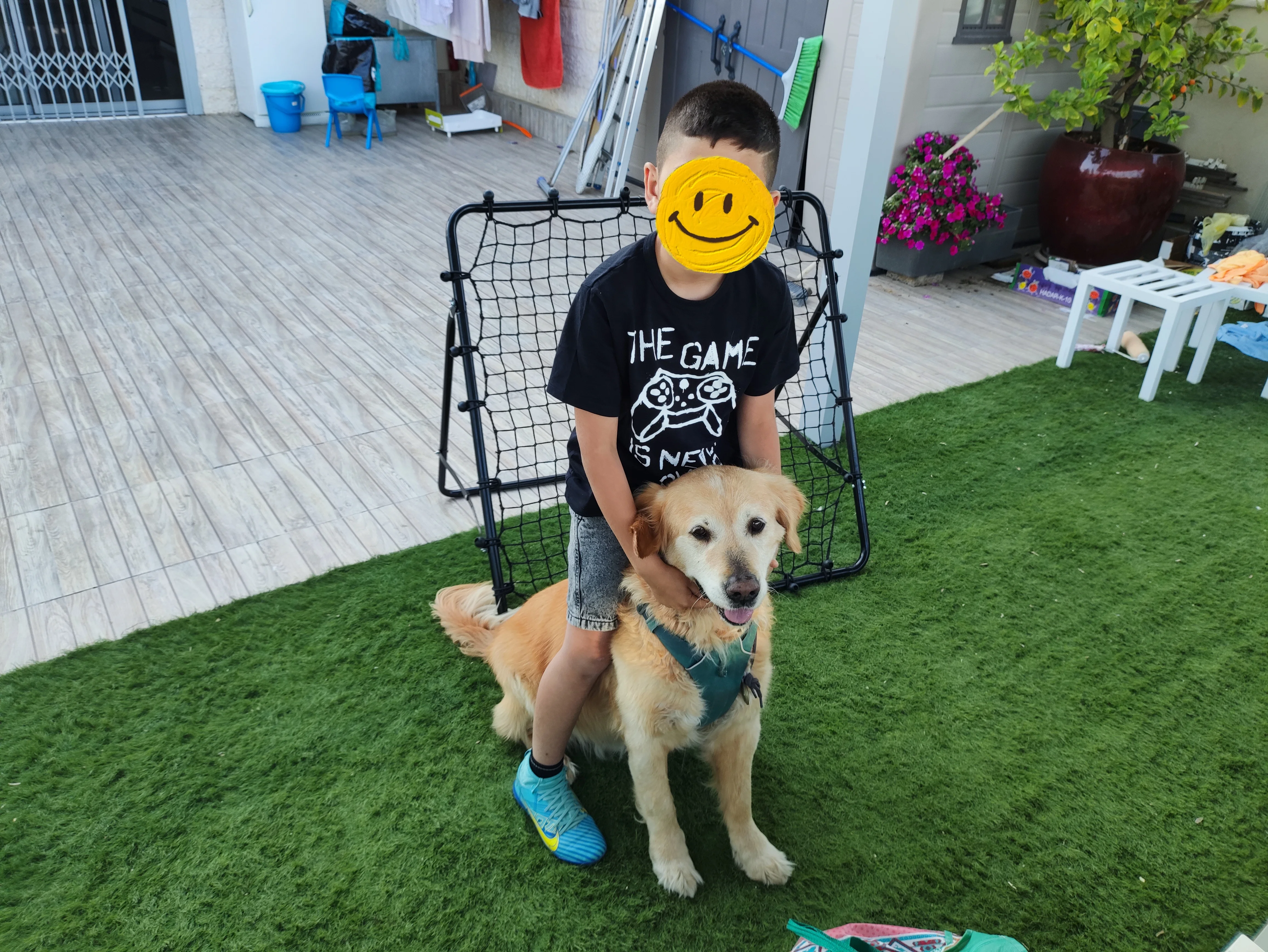 פעילות דרך הכלב