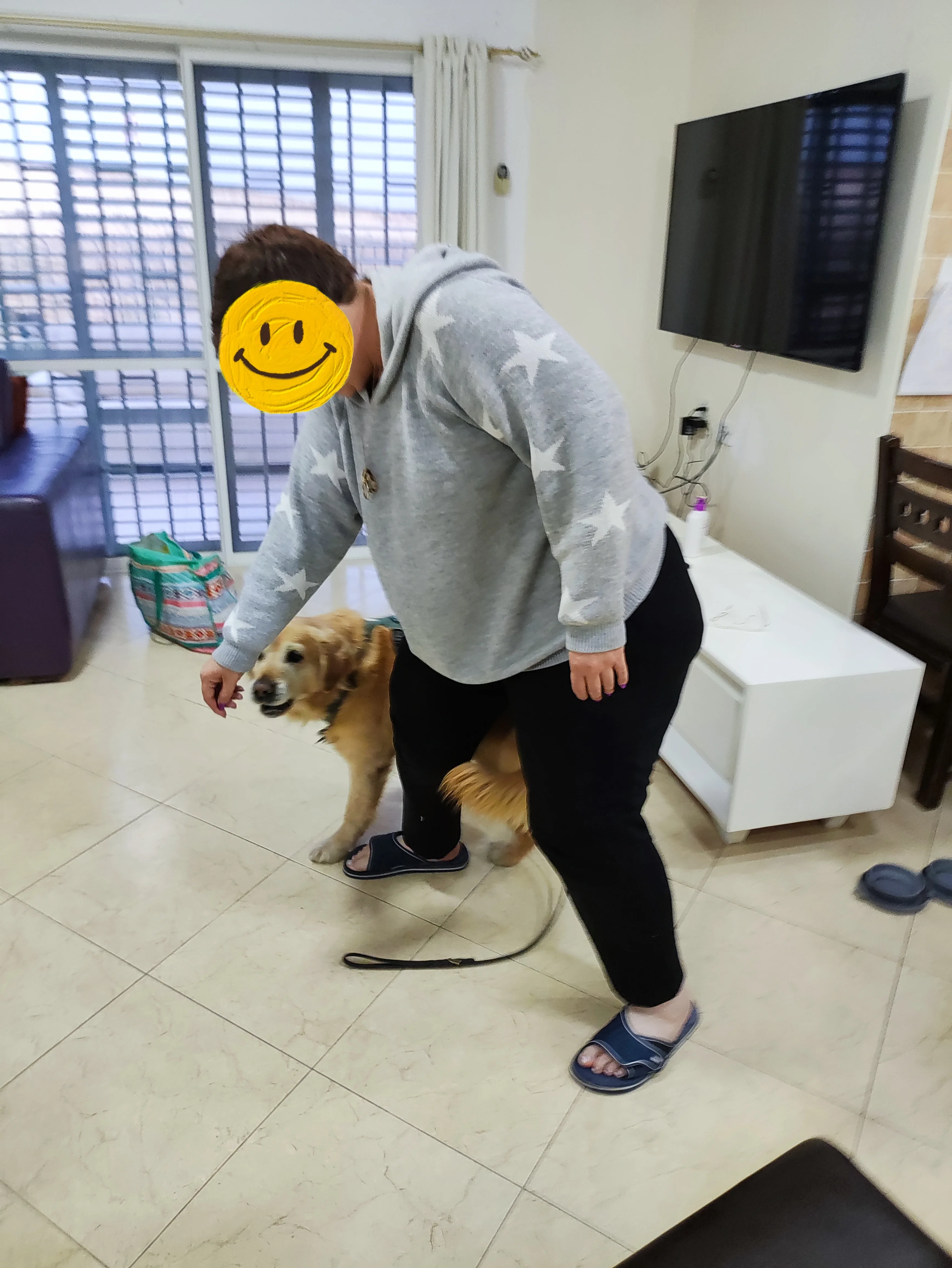 פעילות דרך הכלב