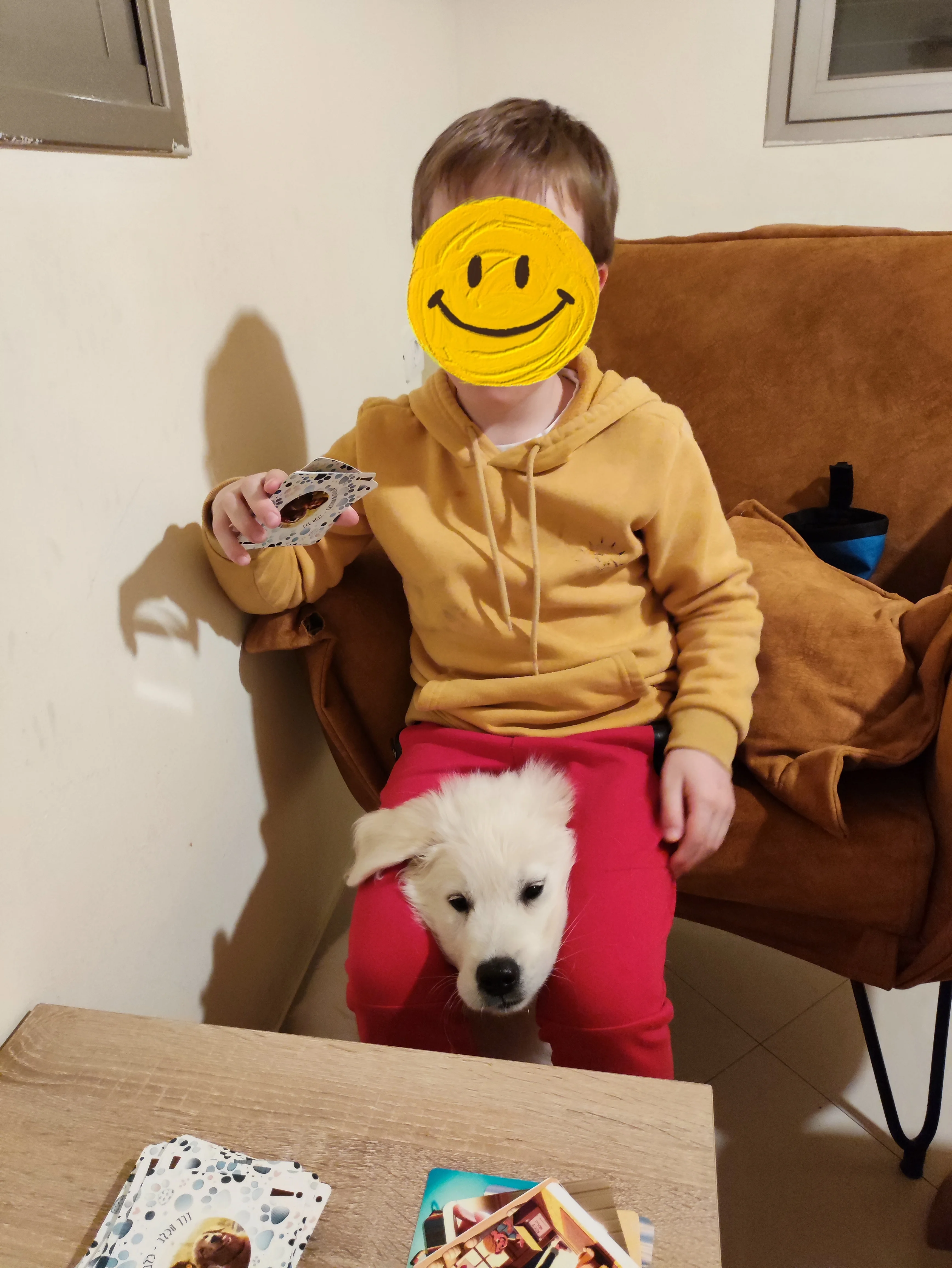 פעילות דרך הכלב