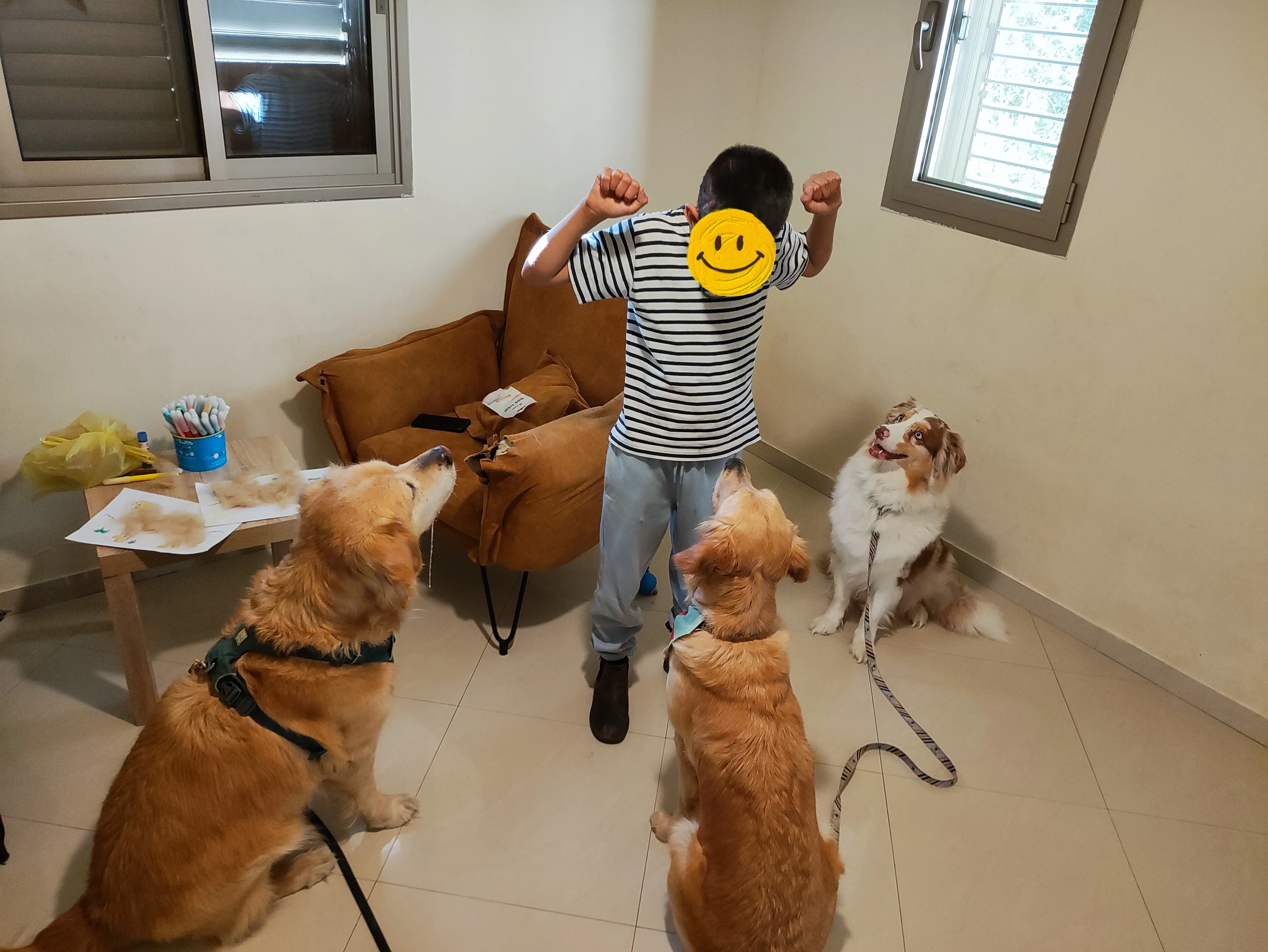 פעילות דרך הכלב