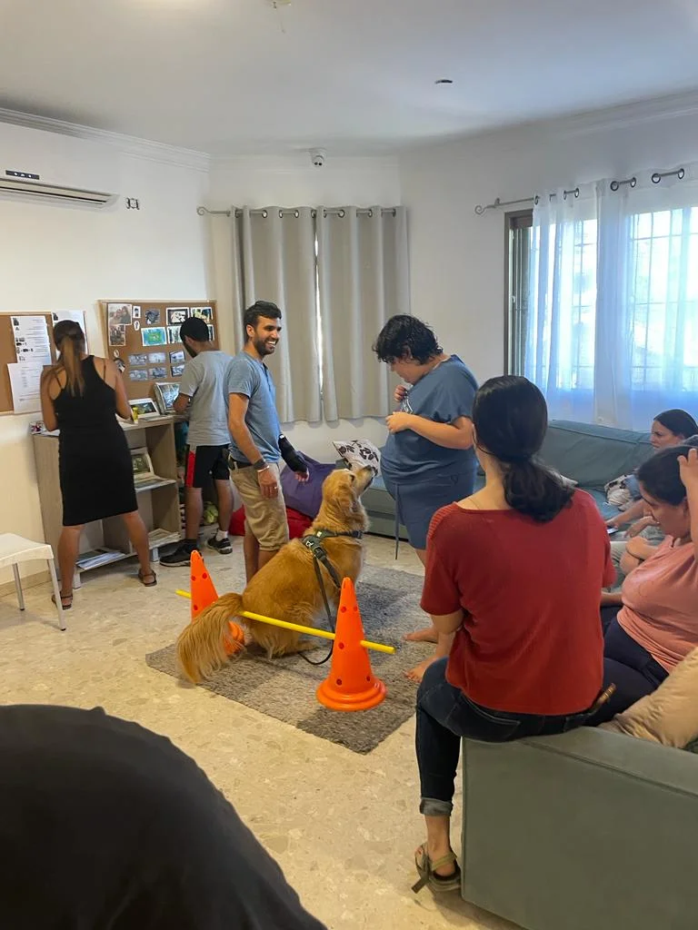 פעילות דרך הכלב