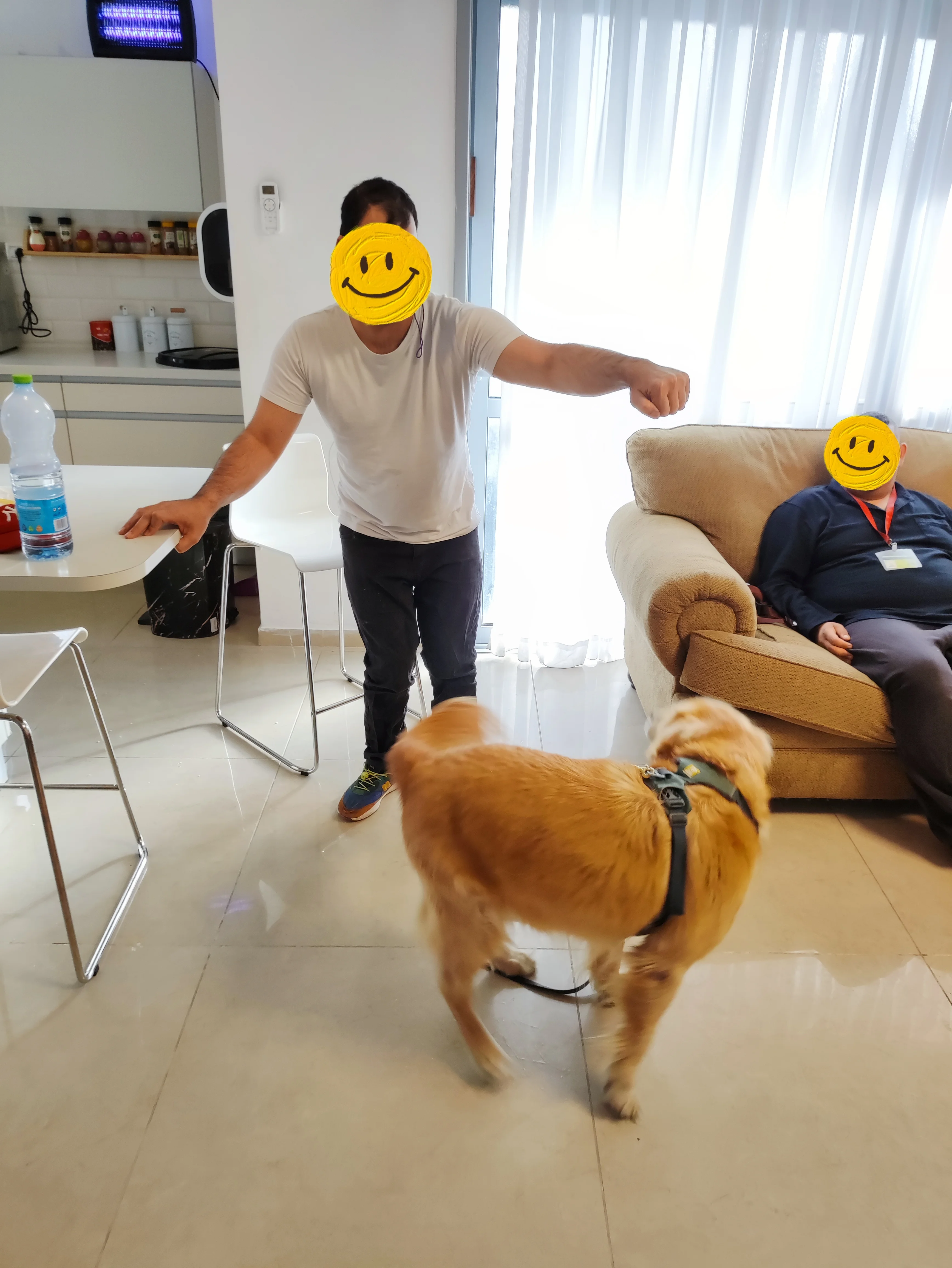 פעילות דרך הכלב