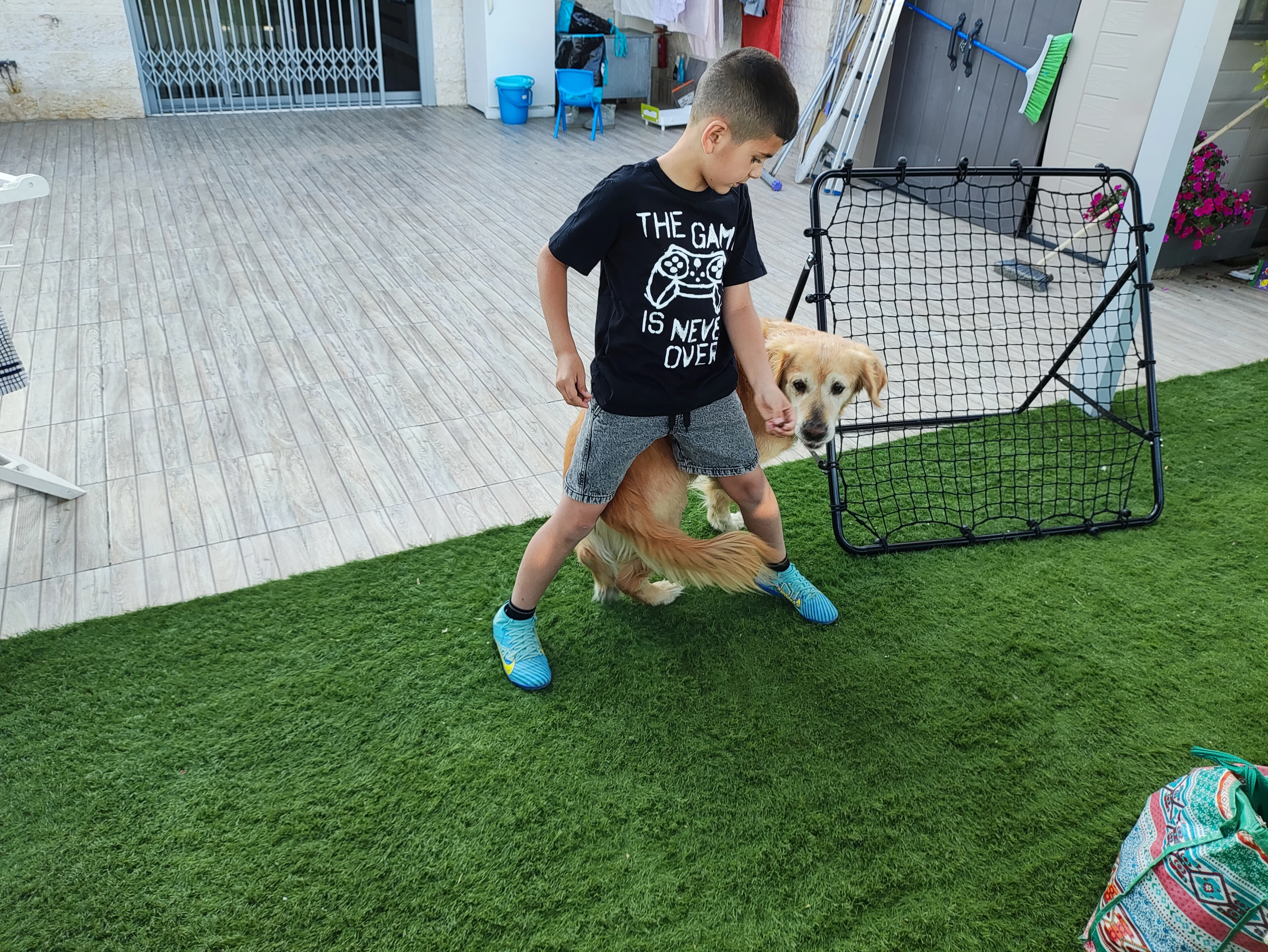 פעילות דרך הכלב