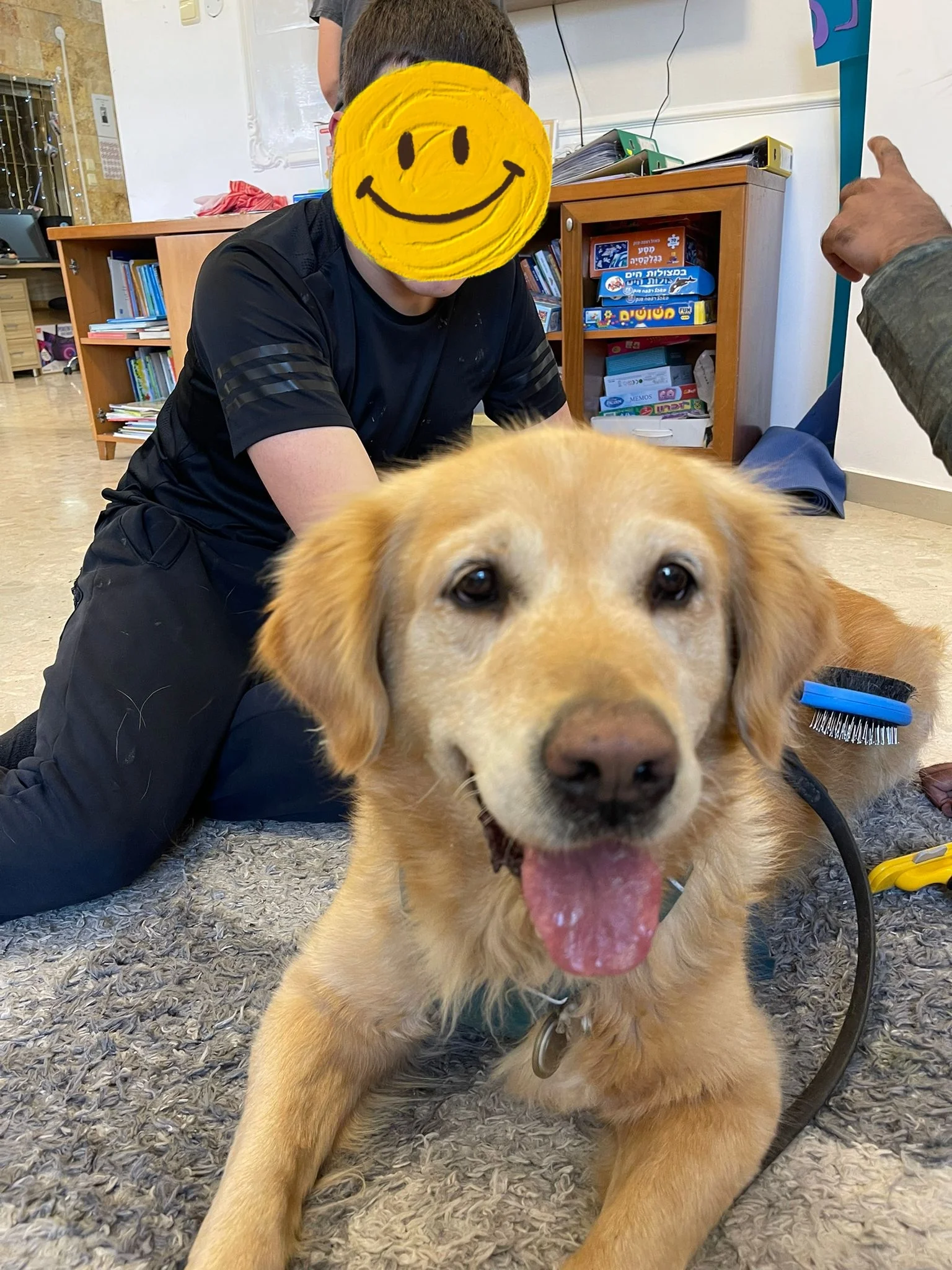 פעילות דרך הכלב