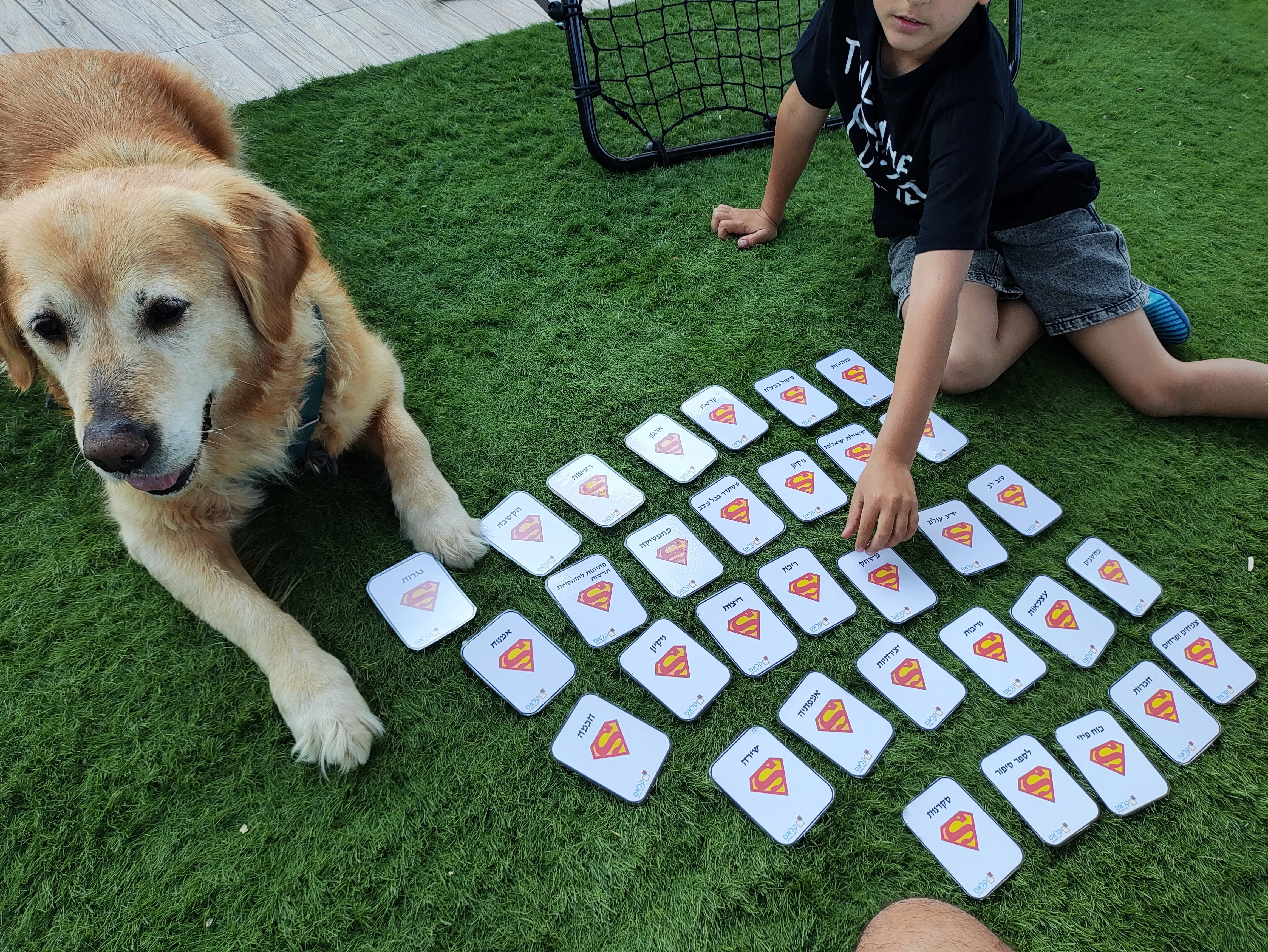 פעילות דרך הכלב