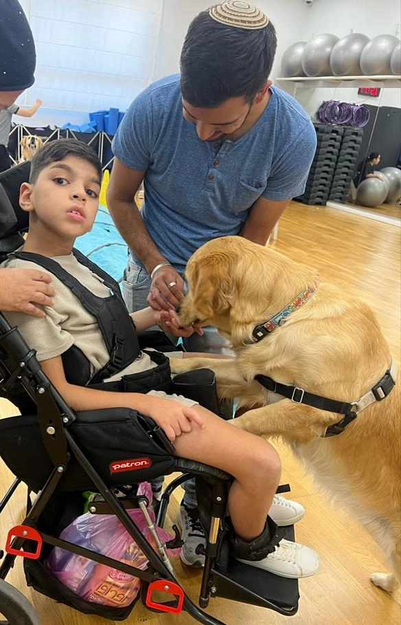 פעילות דרך הכלב