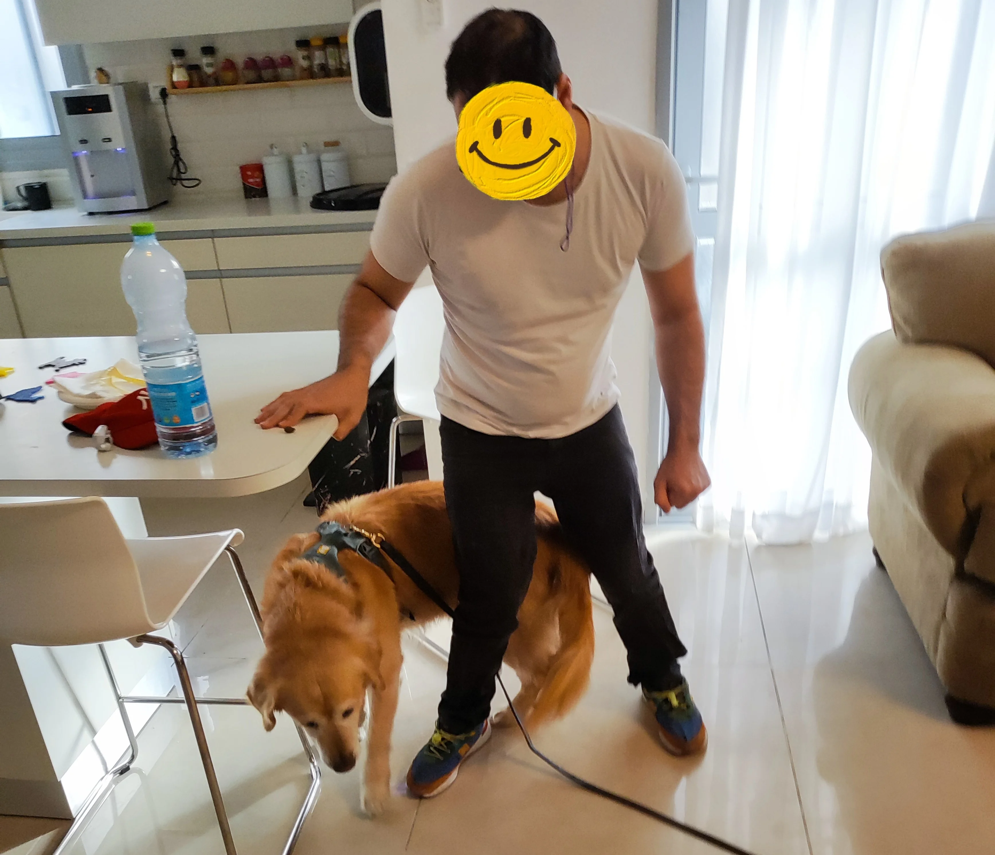 פעילות דרך הכלב