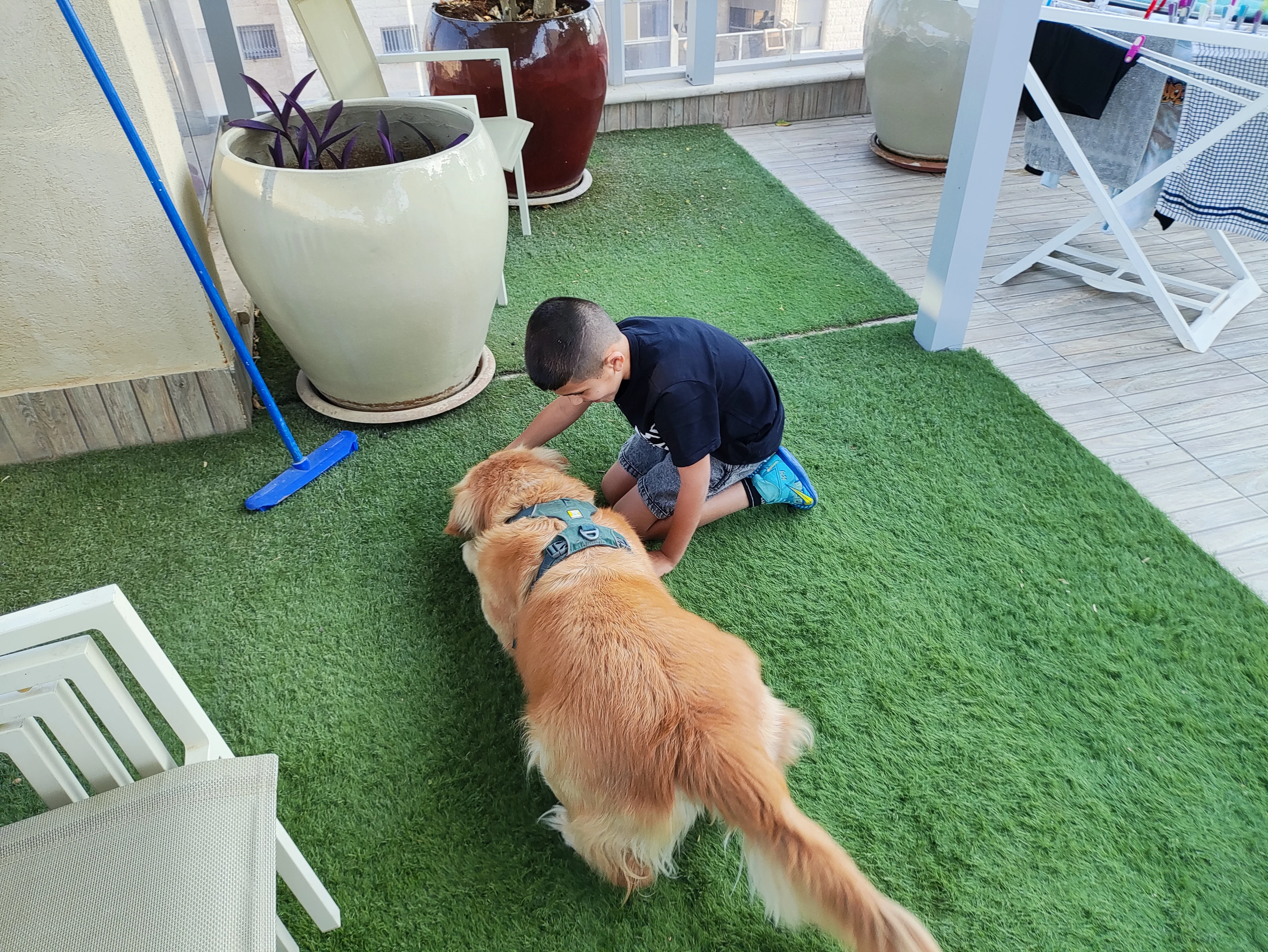 פעילות דרך הכלב