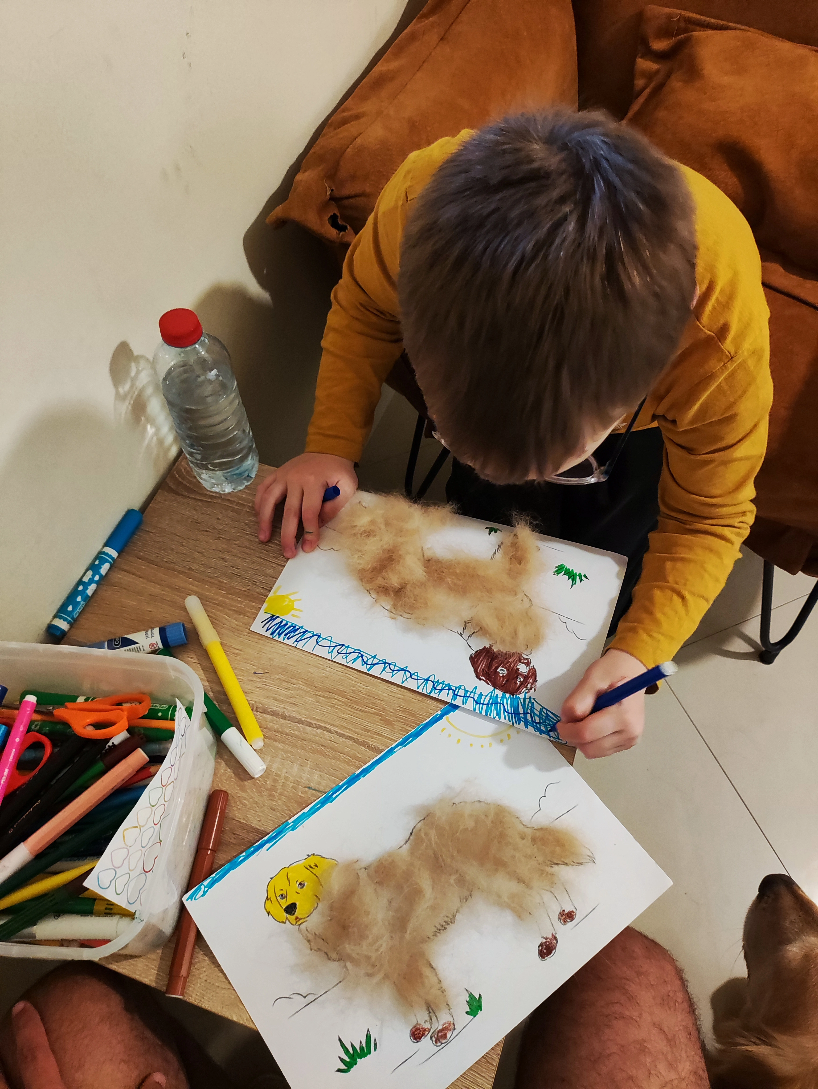 פעילות דרך הכלב