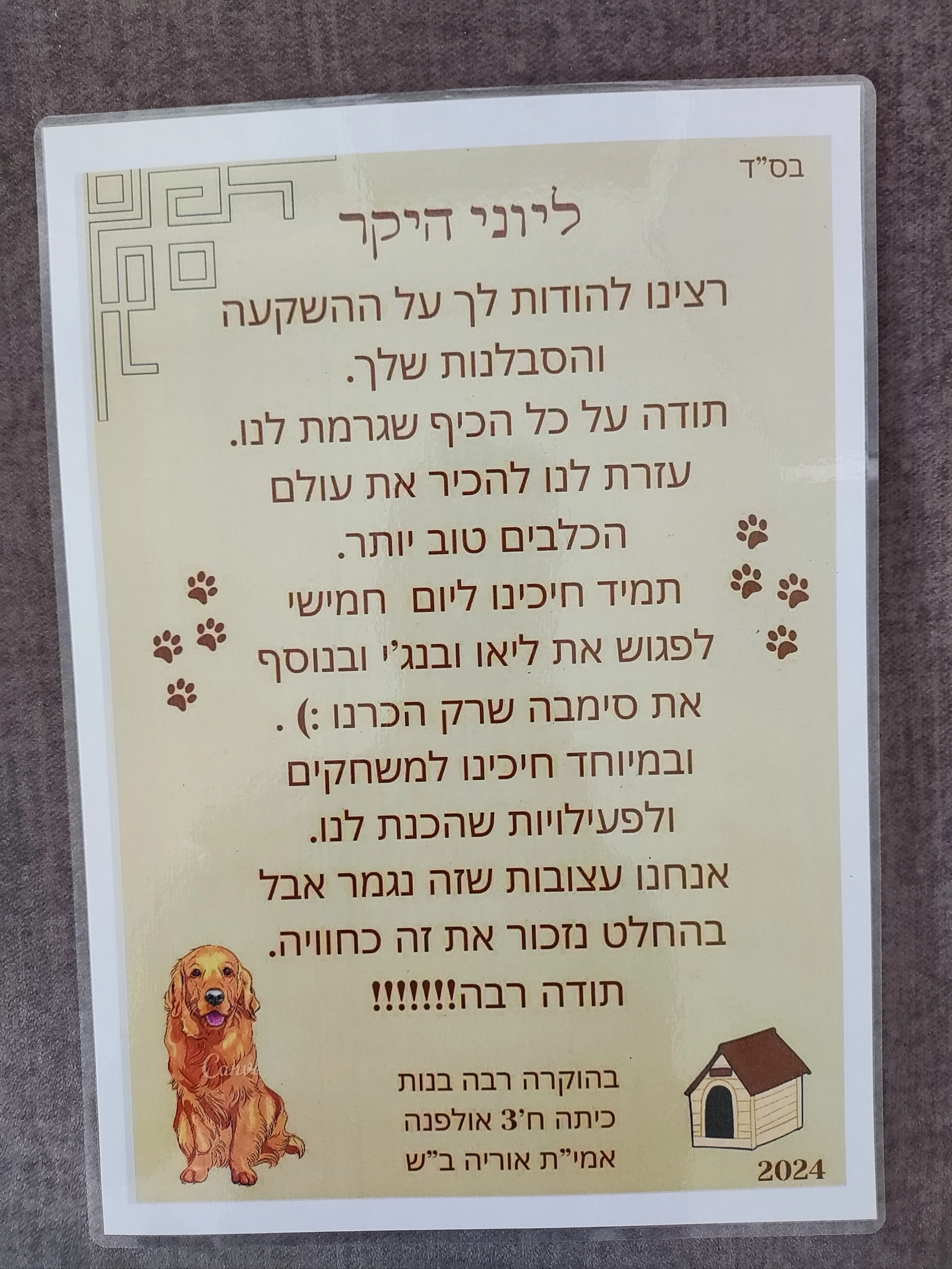 פעילות דרך הכלב