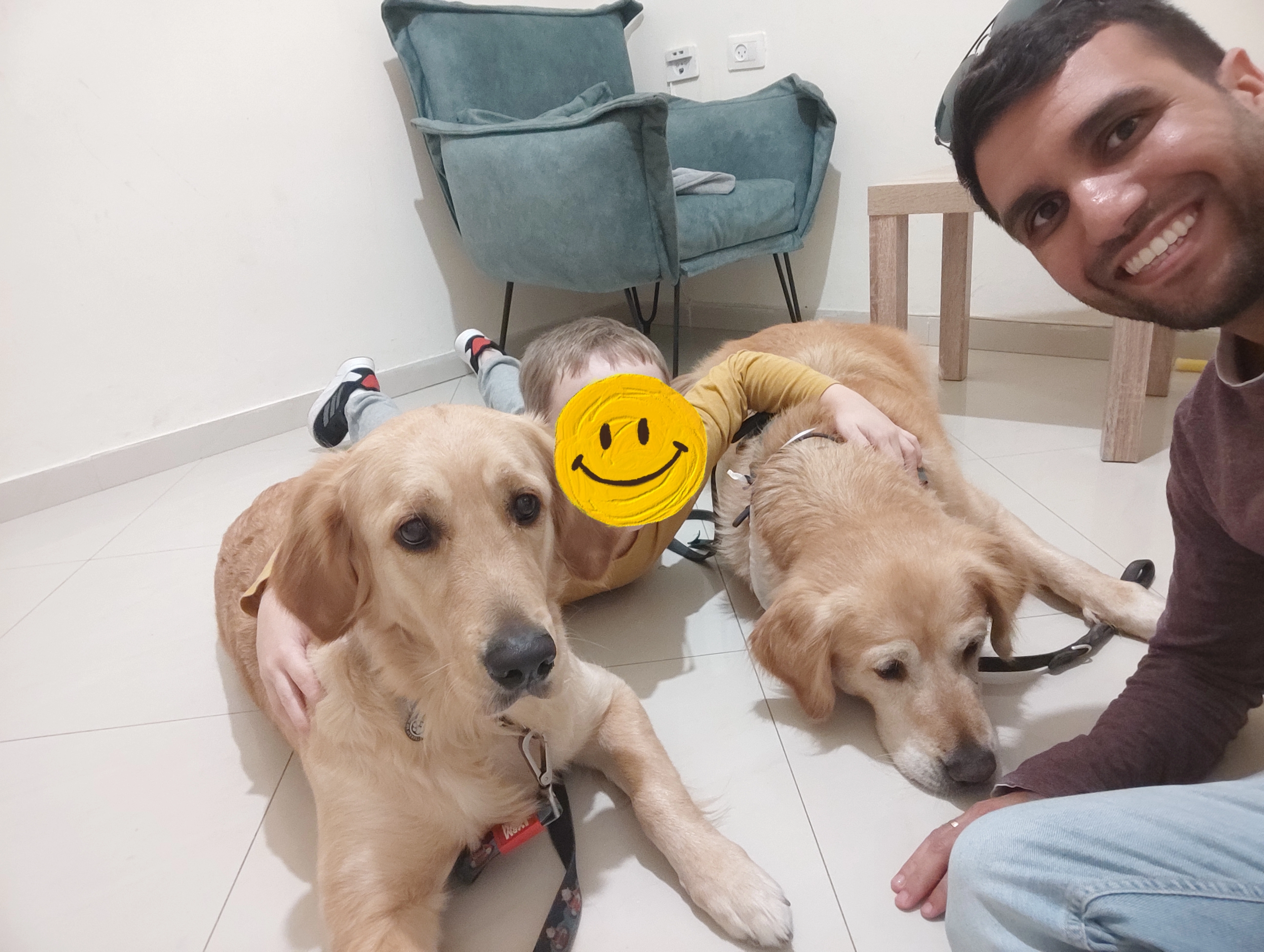 פעילות דרך הכלב