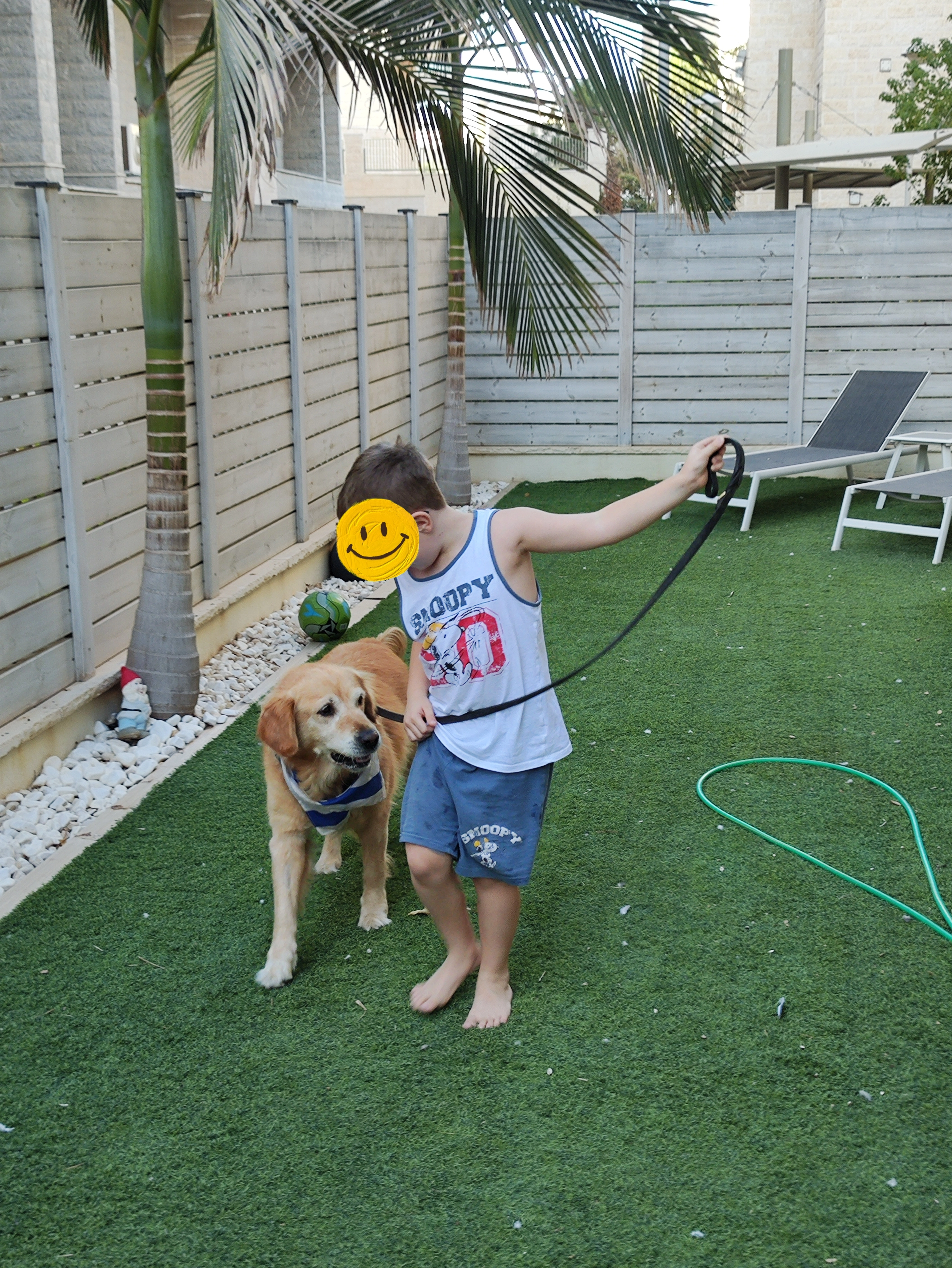 פעילות דרך הכלב