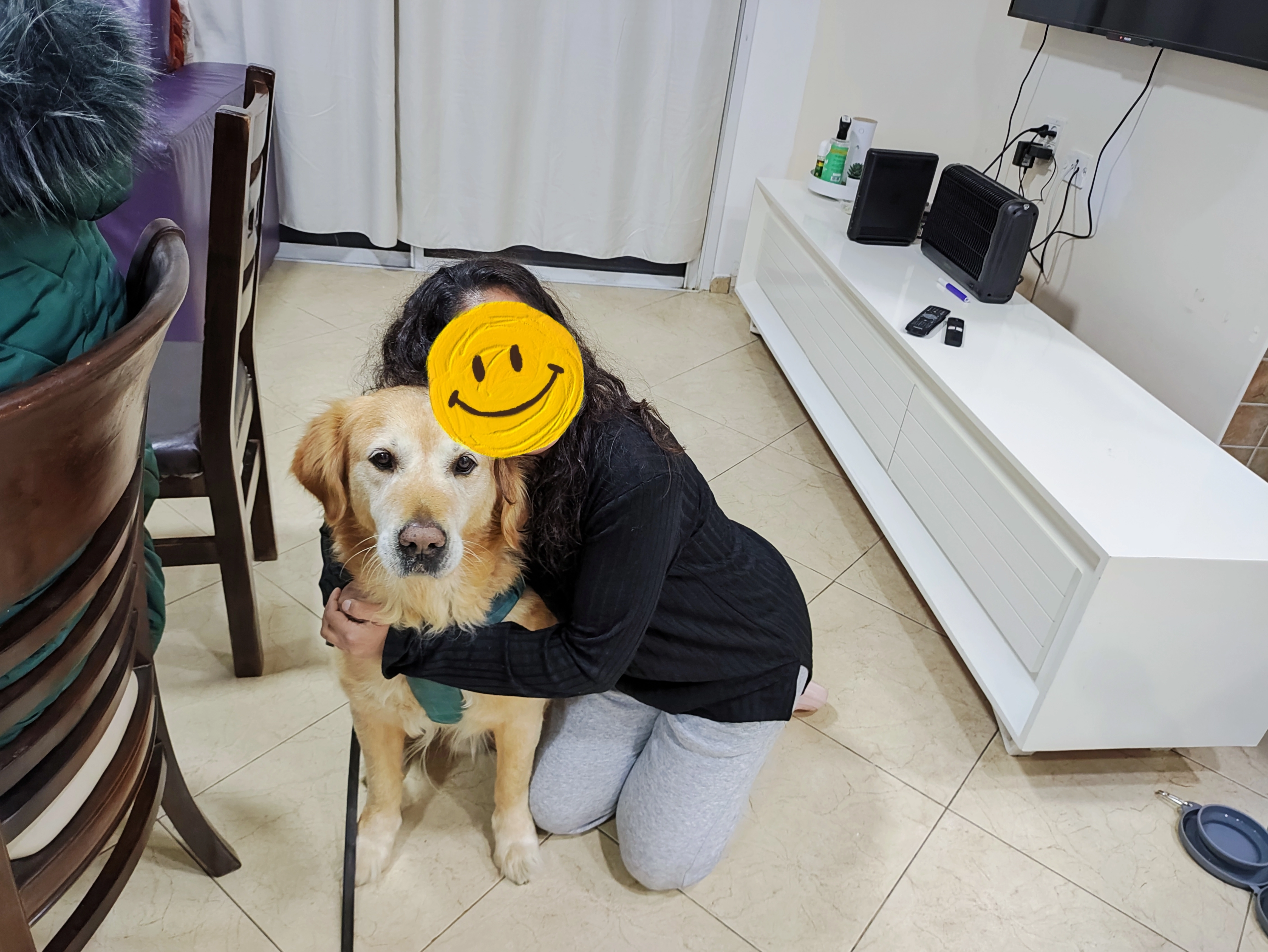 פעילות דרך הכלב