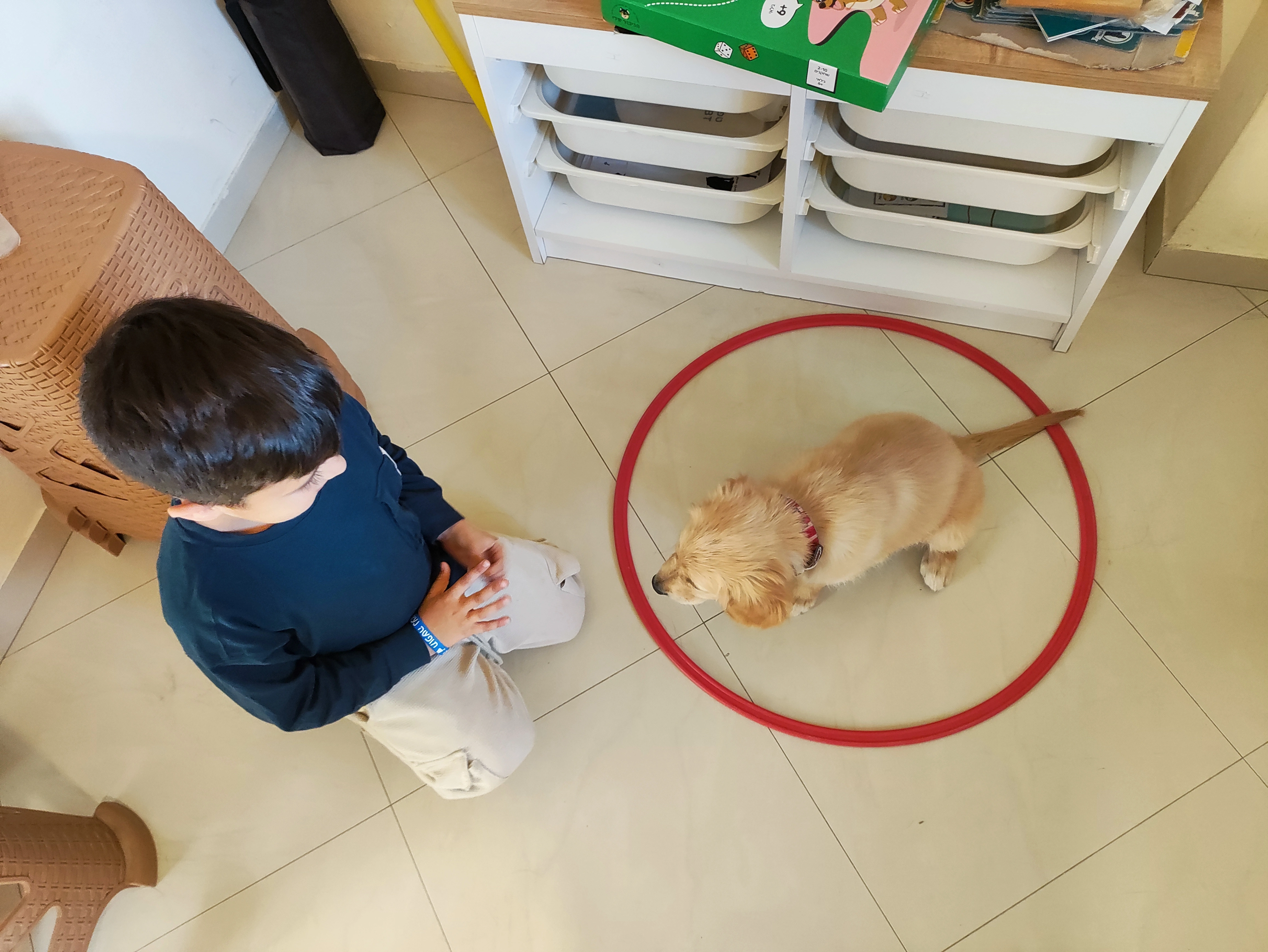 פעילות דרך הכלב