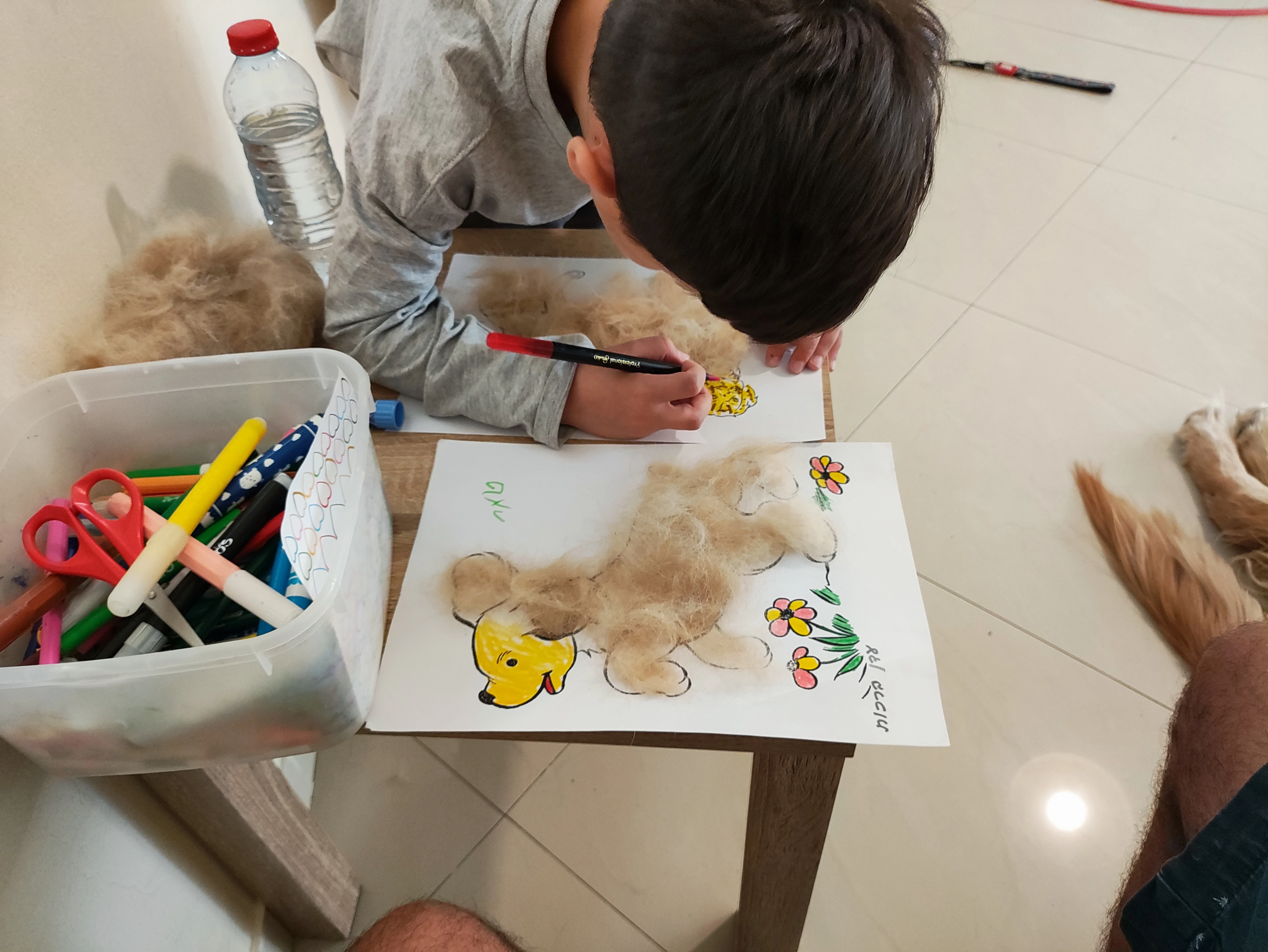 פעילות דרך הכלב