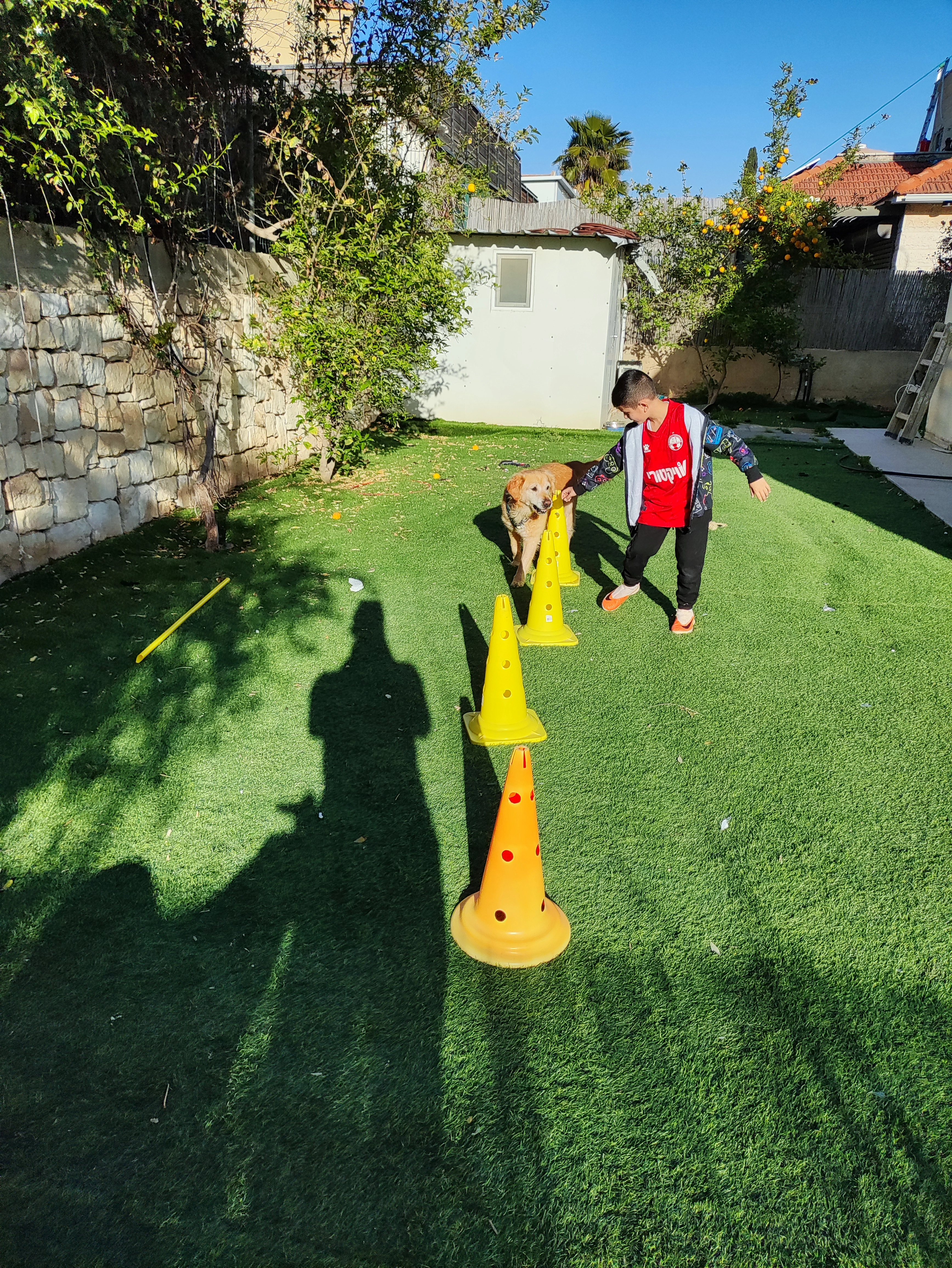 פעילות דרך הכלב