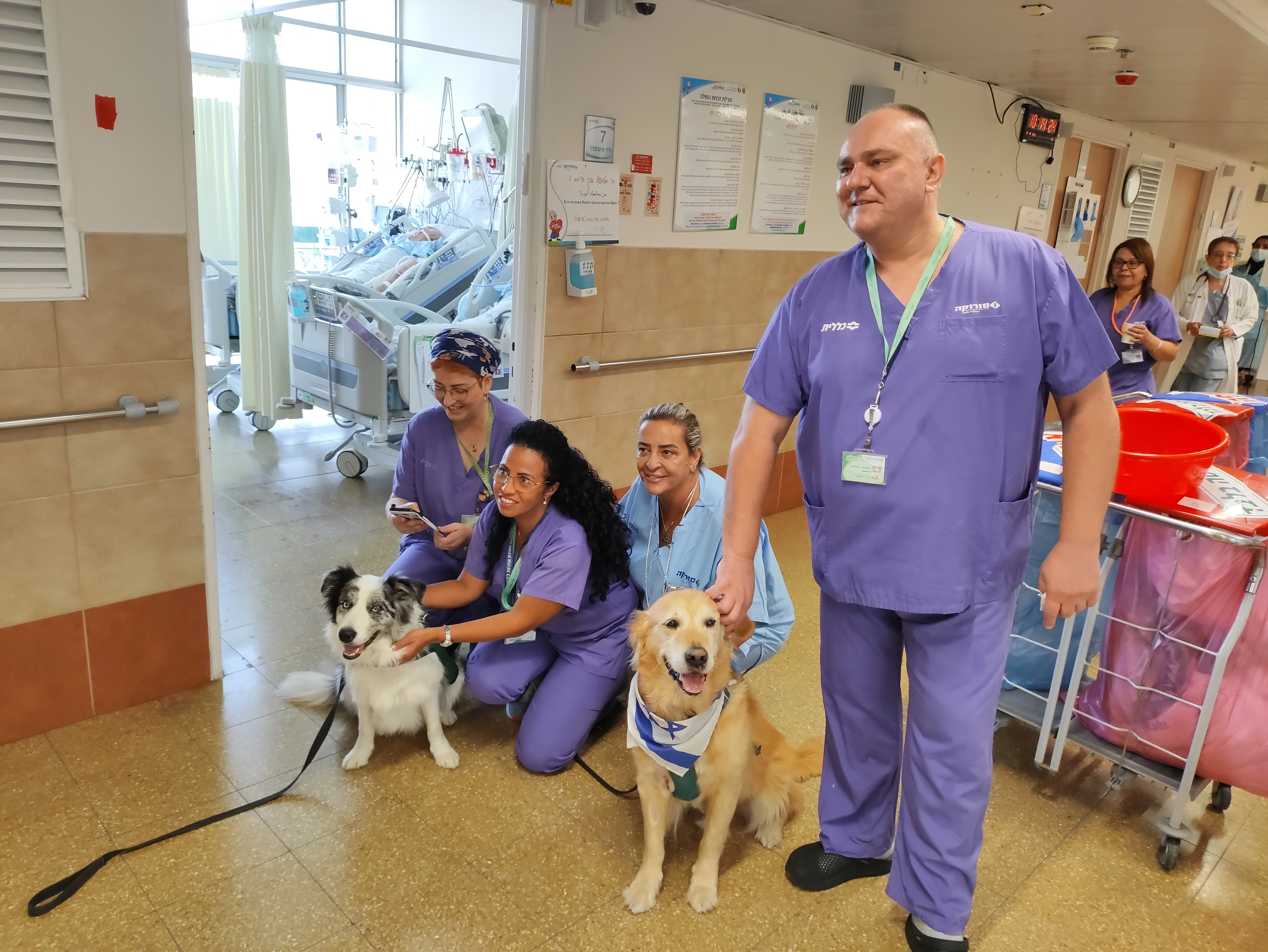 פעילות דרך הכלב