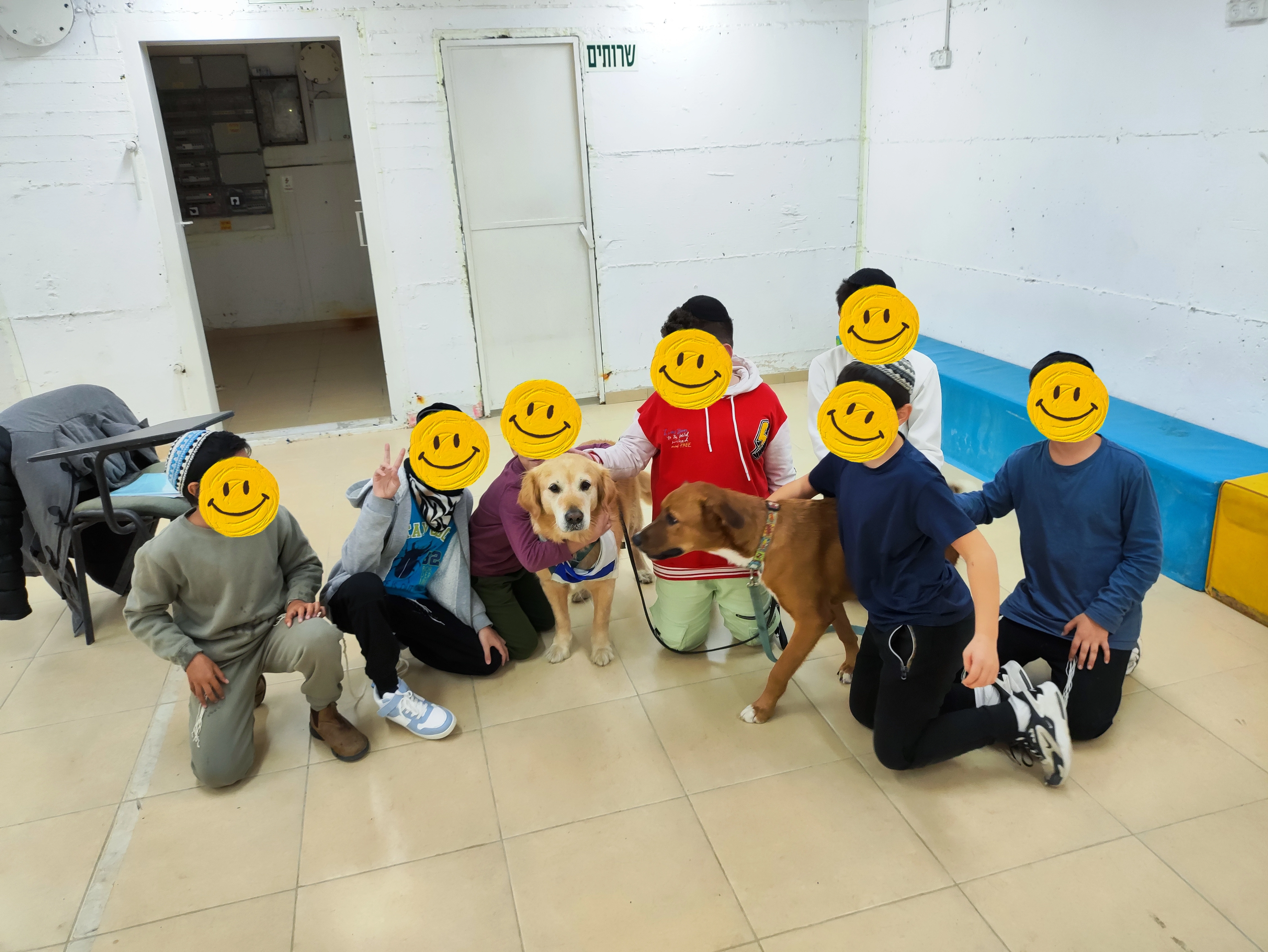 פעילות דרך הכלב