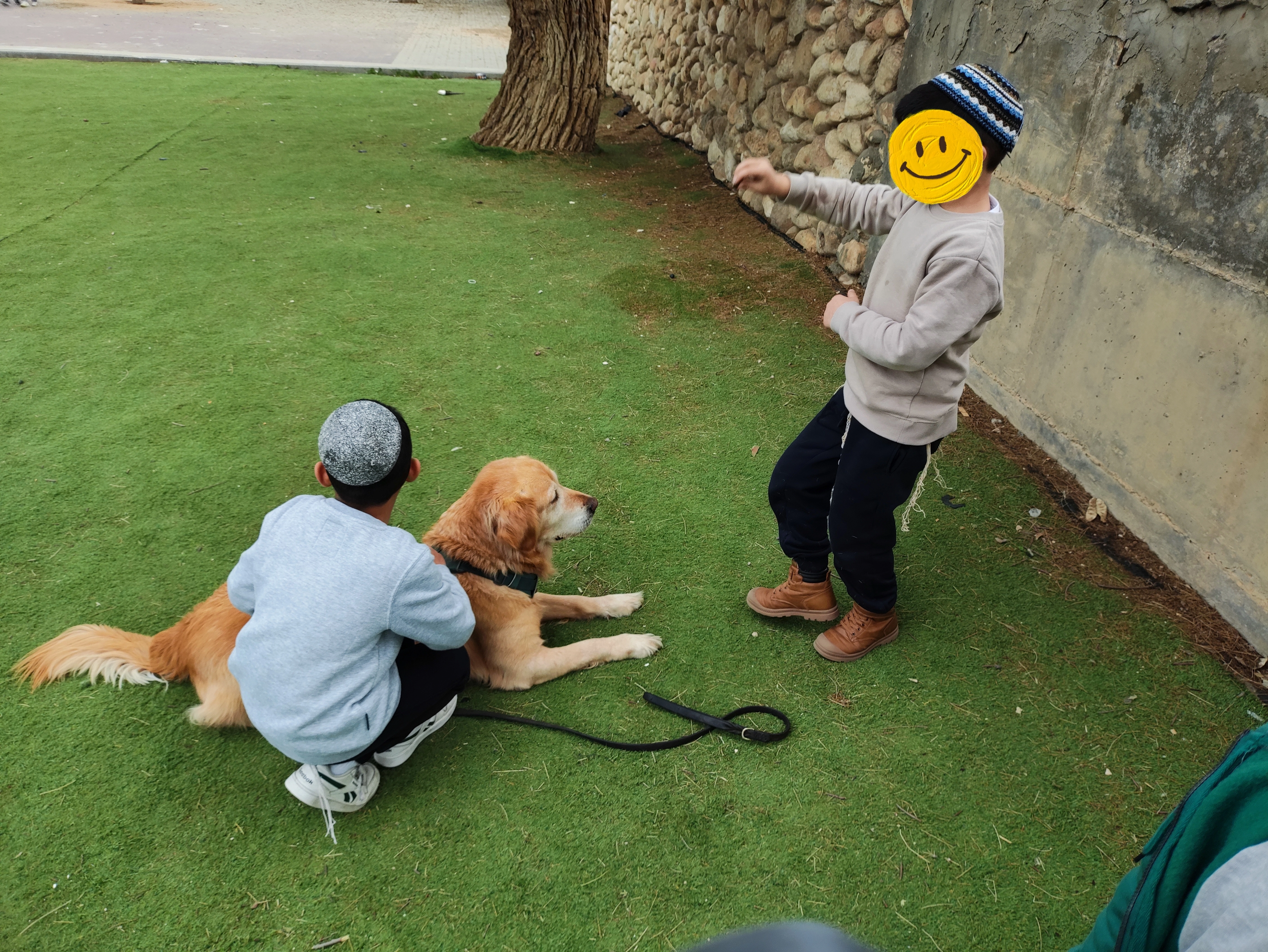 פעילות דרך הכלב