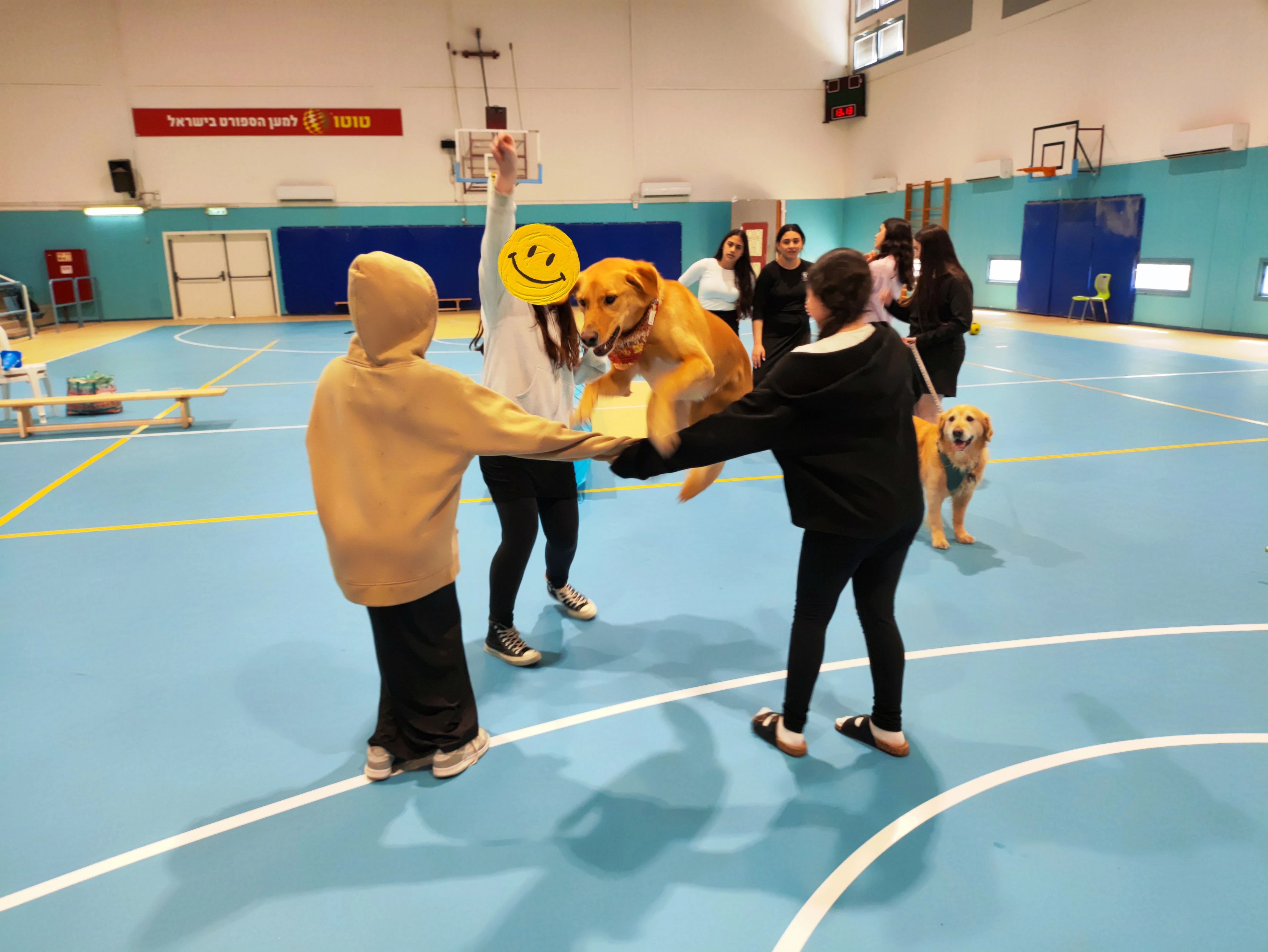 פעילות דרך הכלב