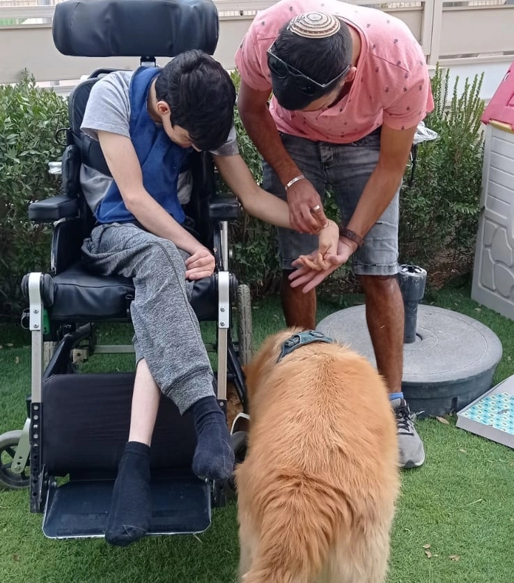 פעילות דרך הכלב