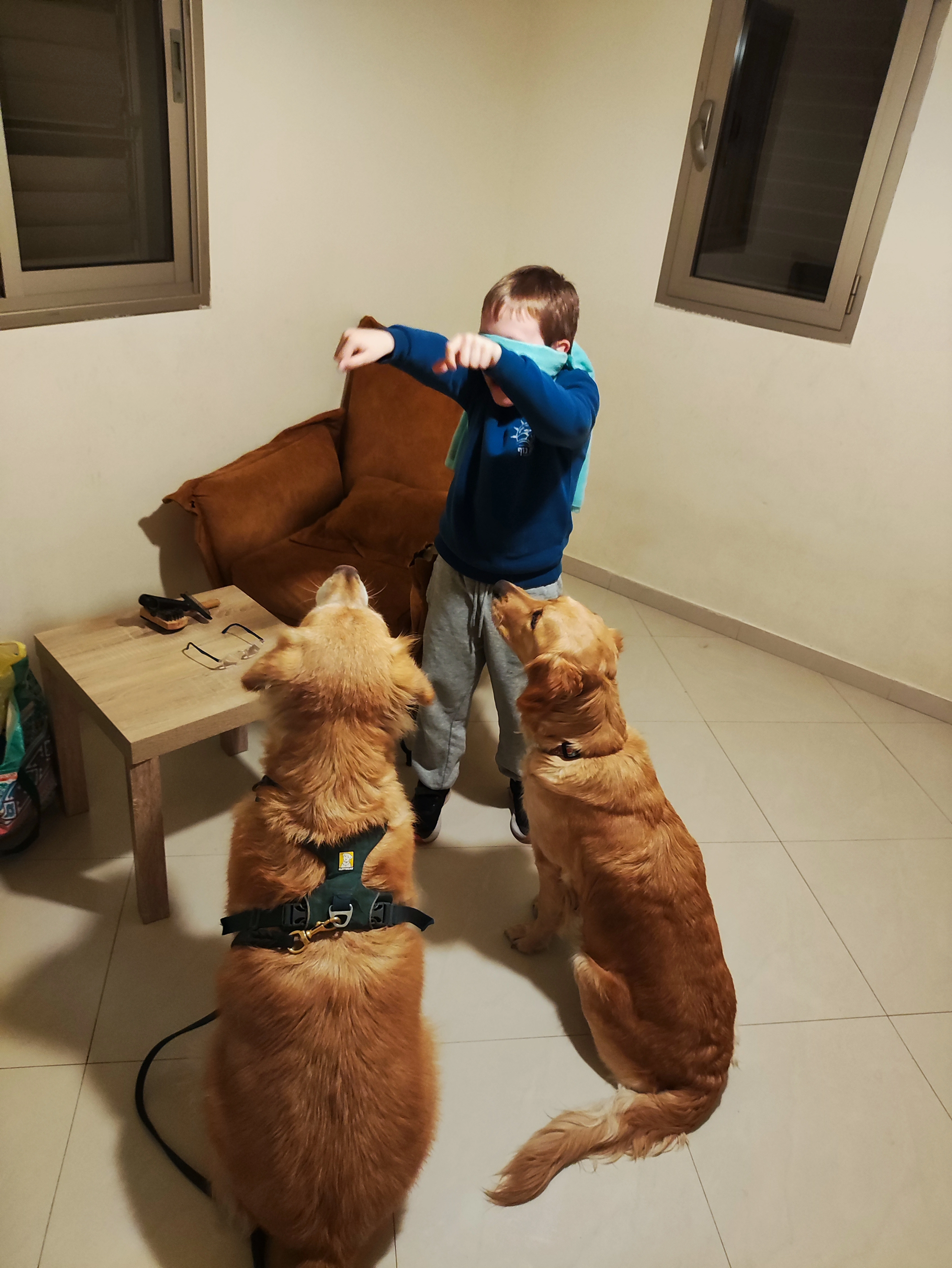 פעילות דרך הכלב