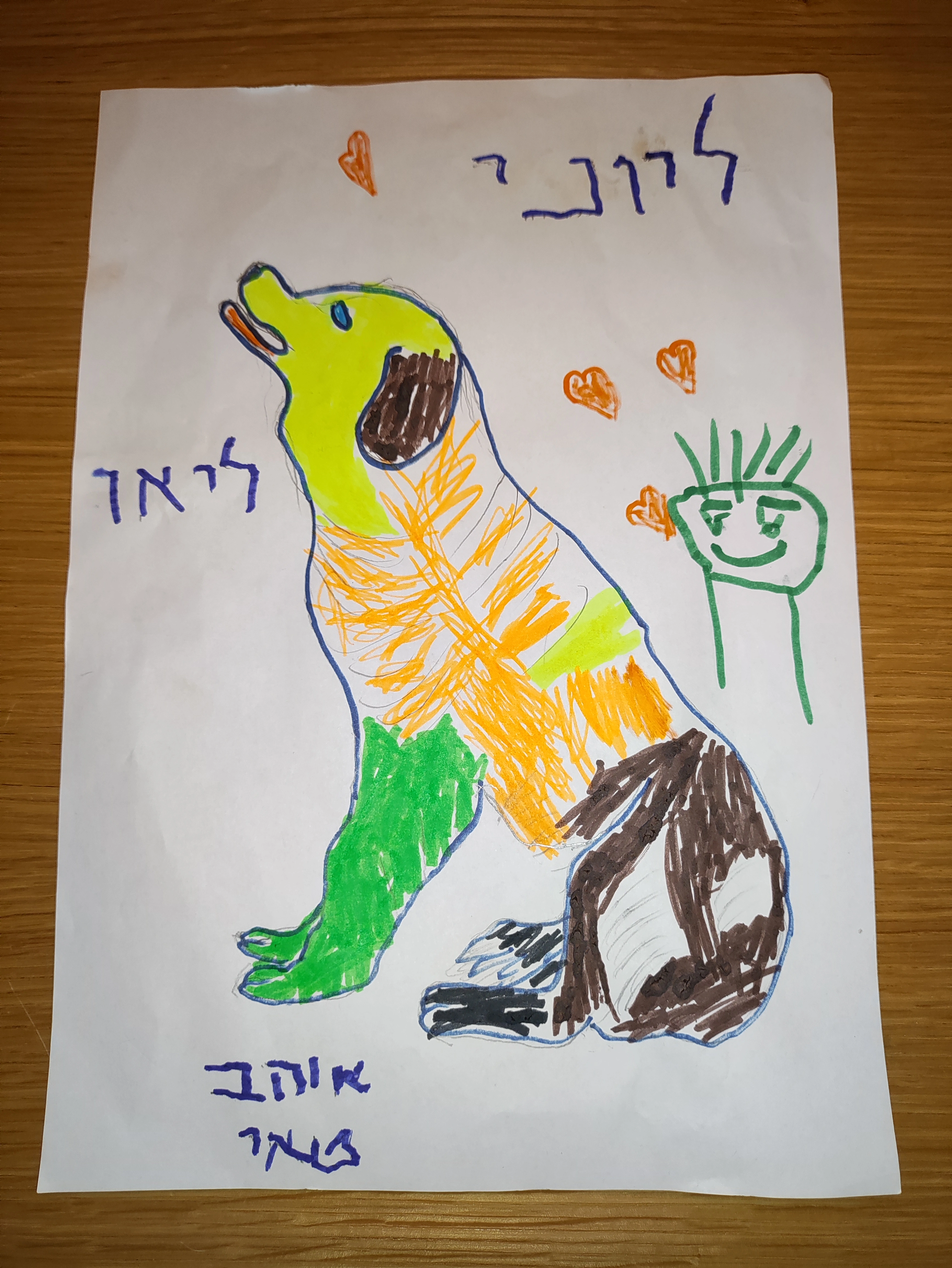 פעילות דרך הכלב