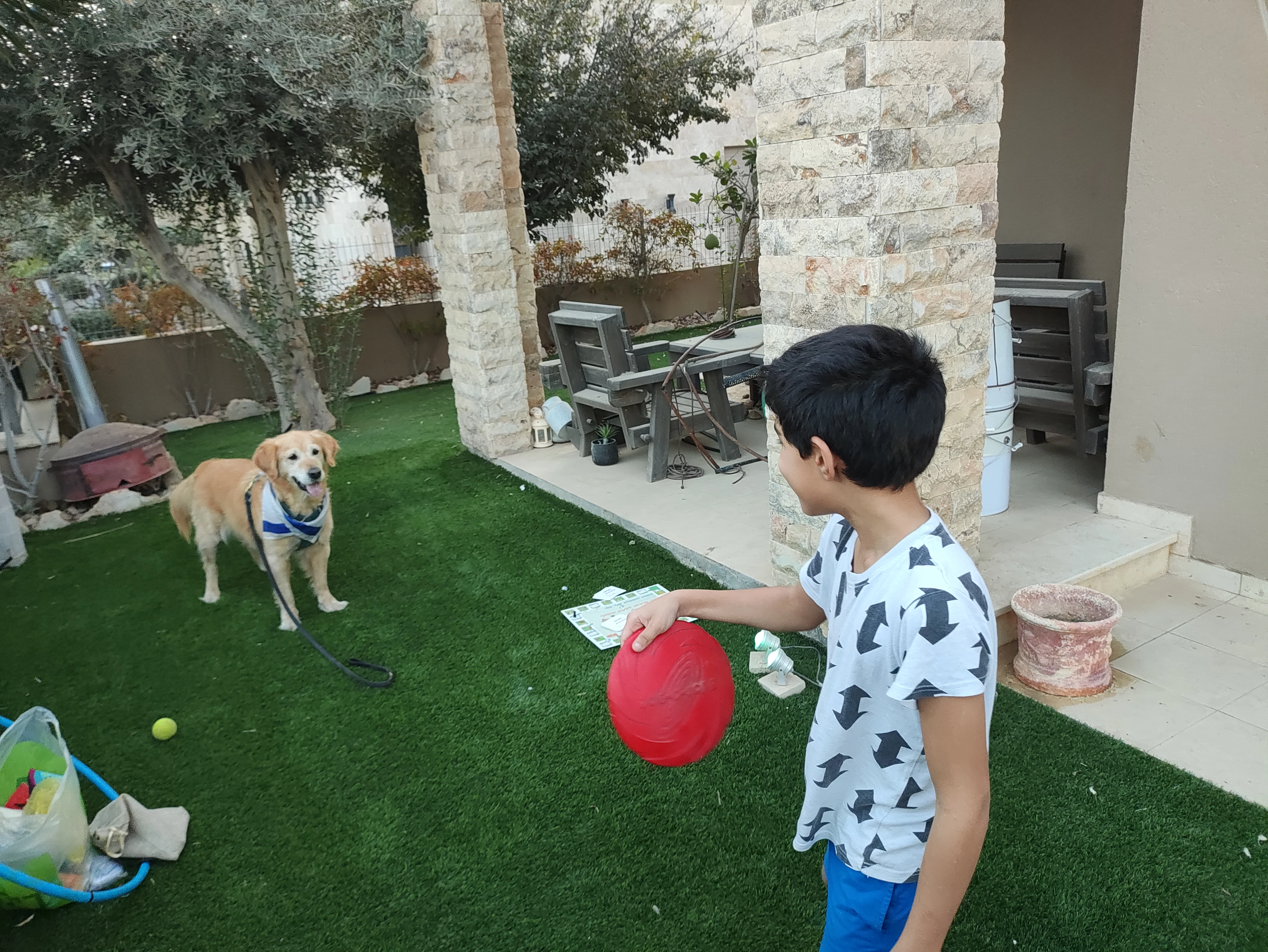 פעילות דרך הכלב