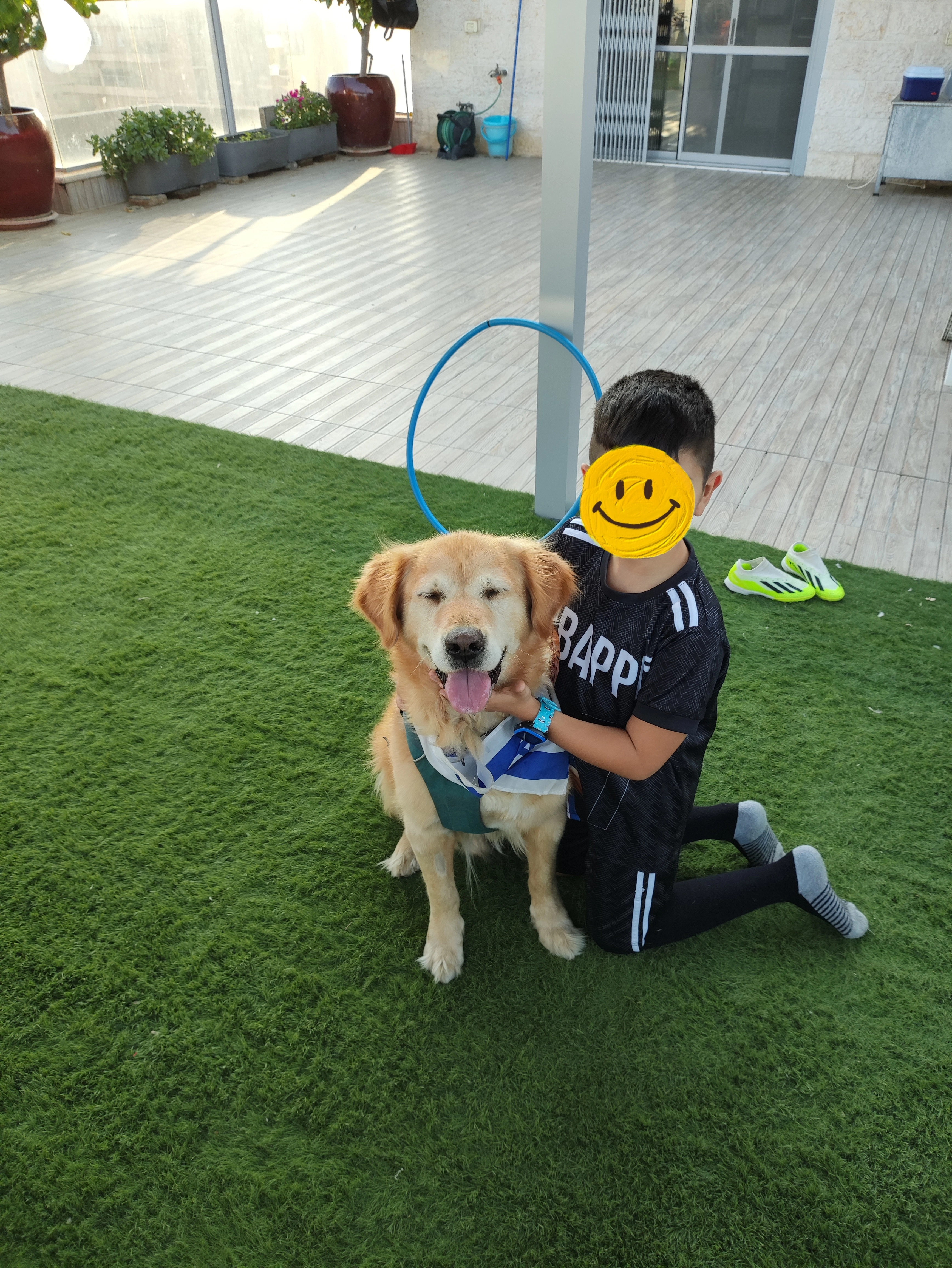 פעילות דרך הכלב