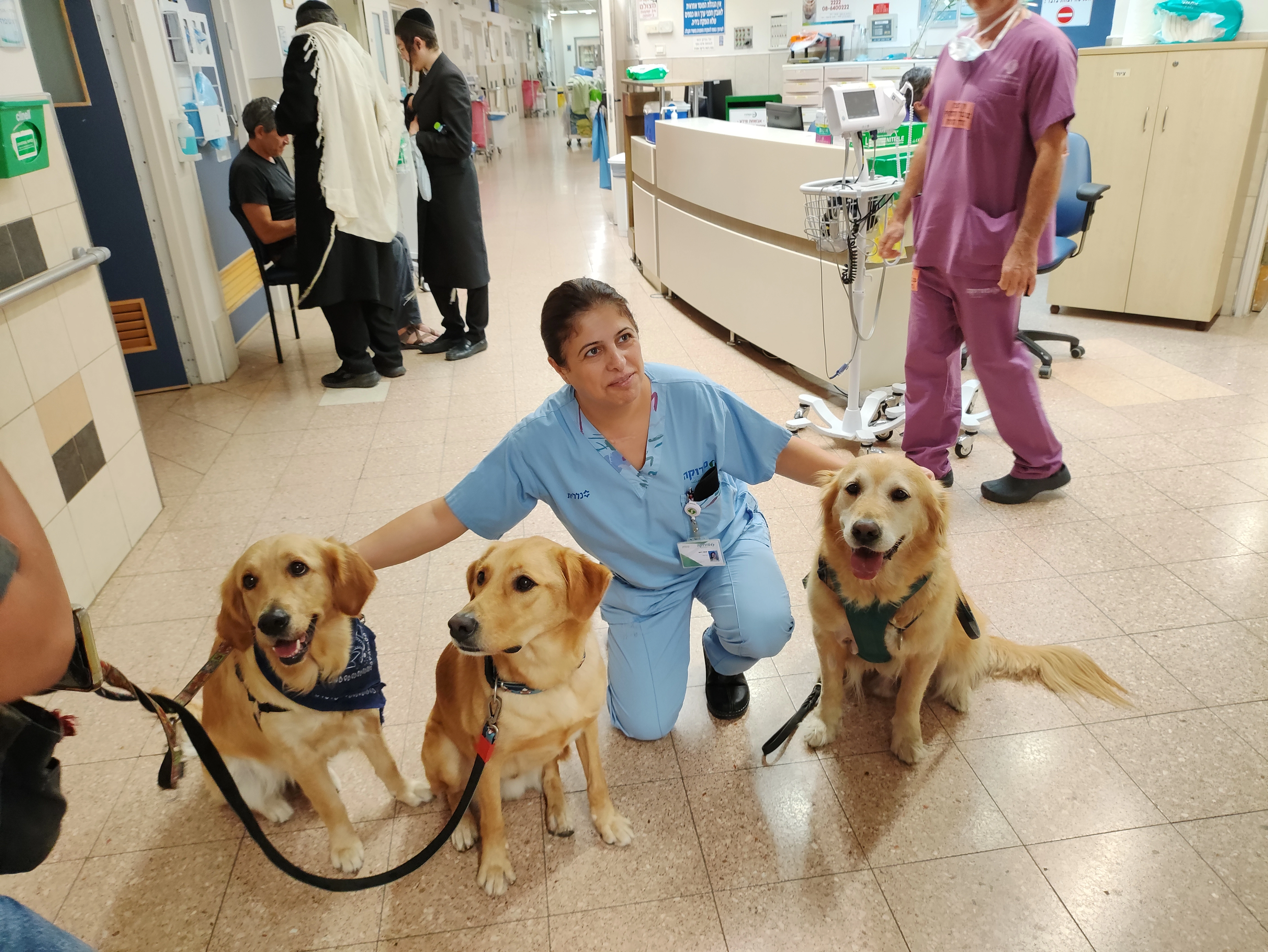 פעילות דרך הכלב