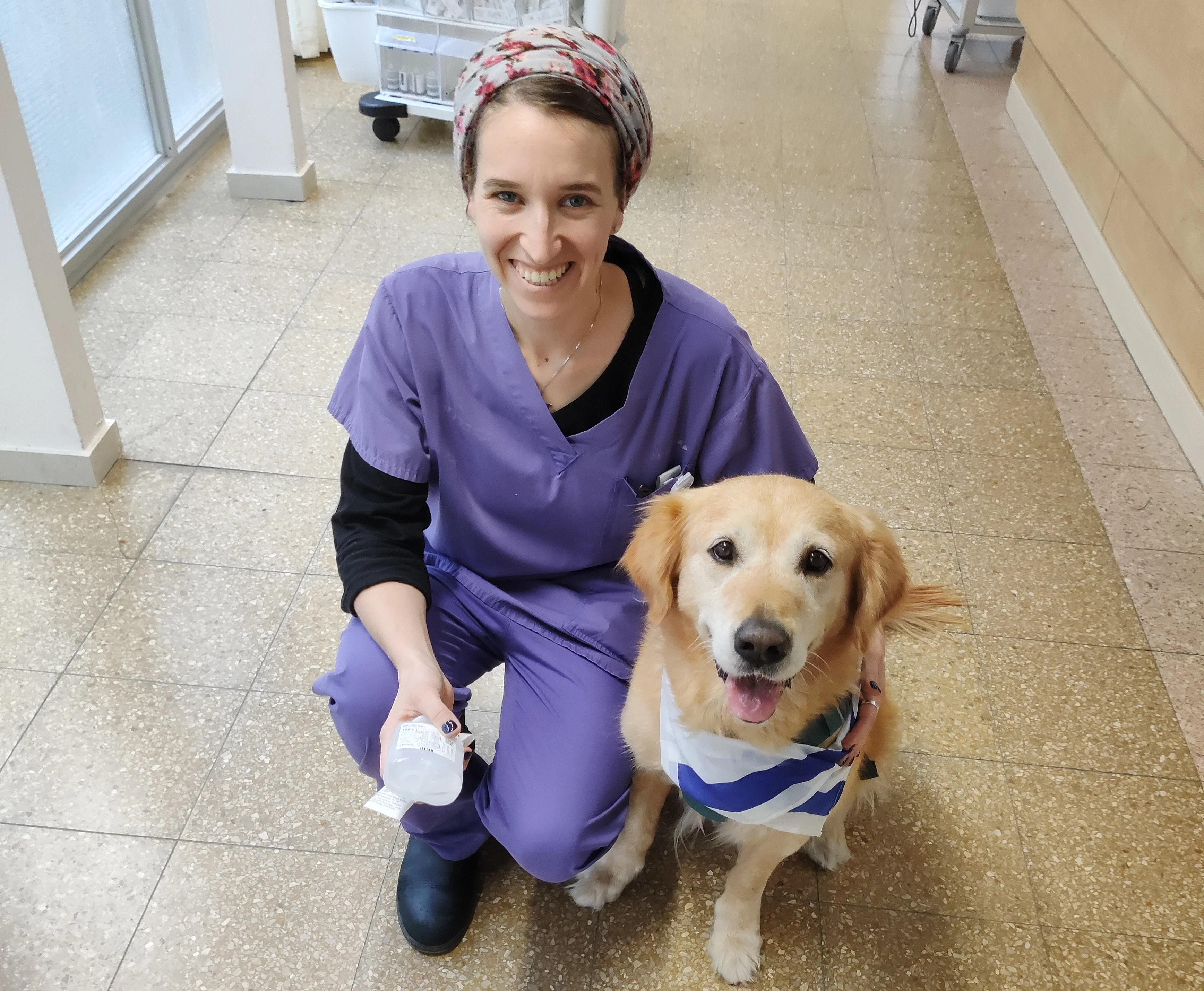 פעילות דרך הכלב