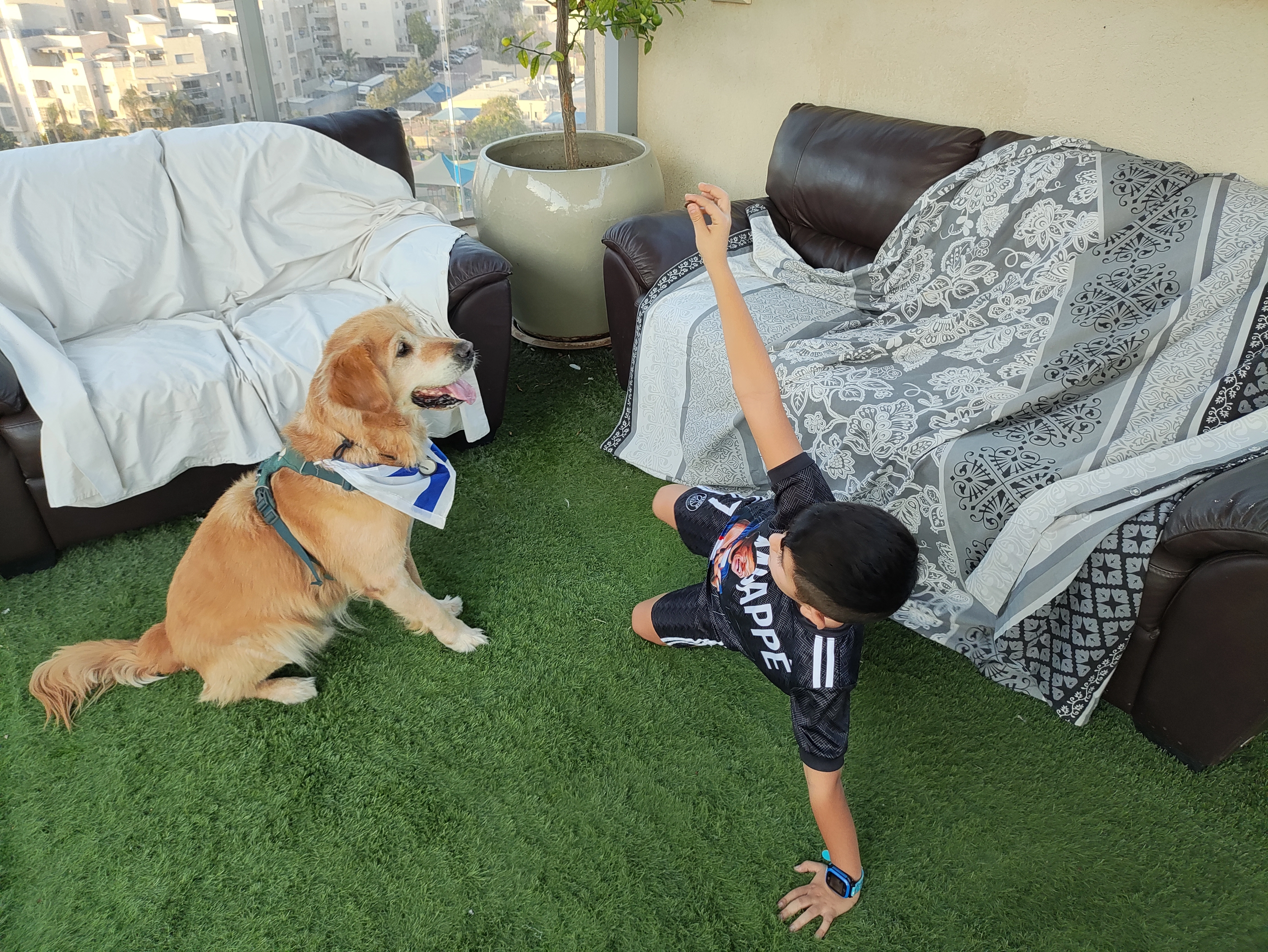 פעילות דרך הכלב