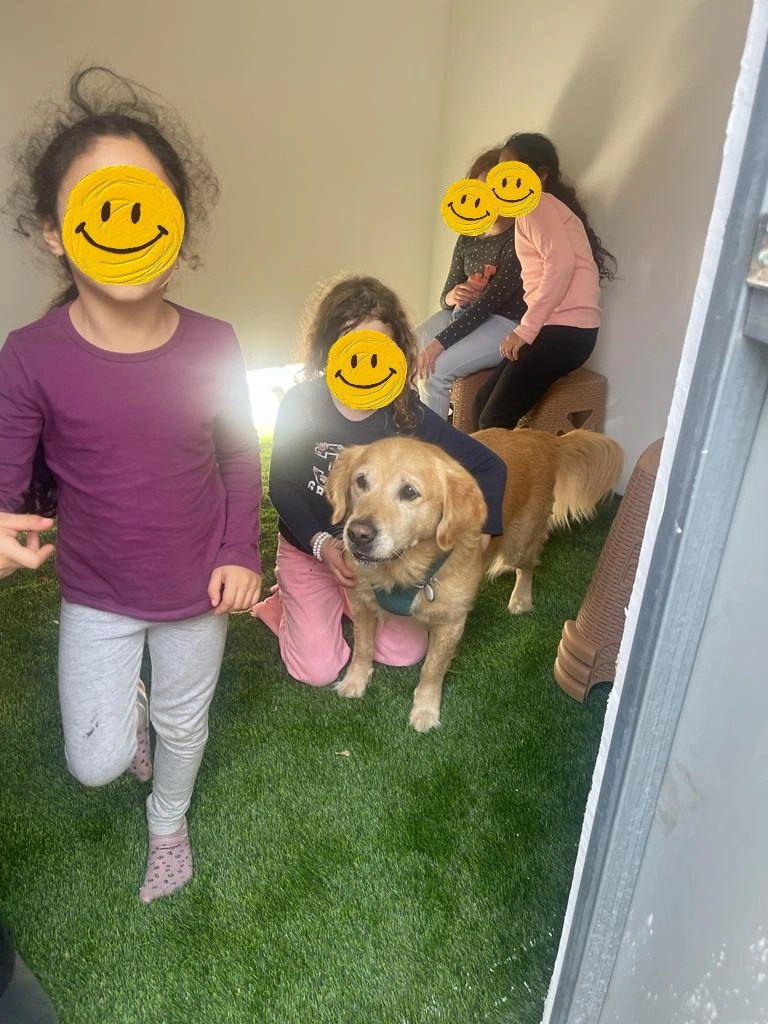 פעילות דרך הכלב