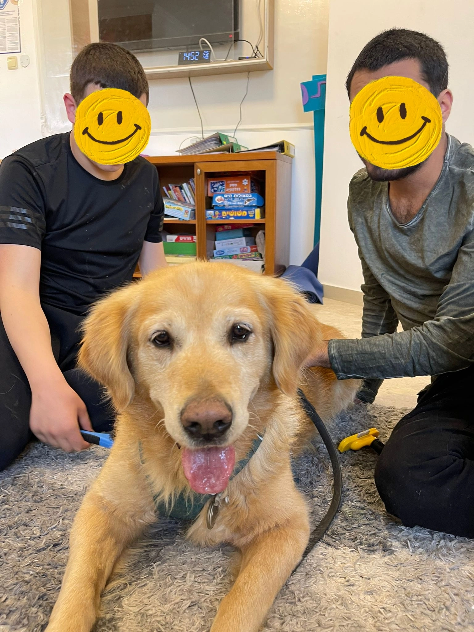 פעילות דרך הכלב