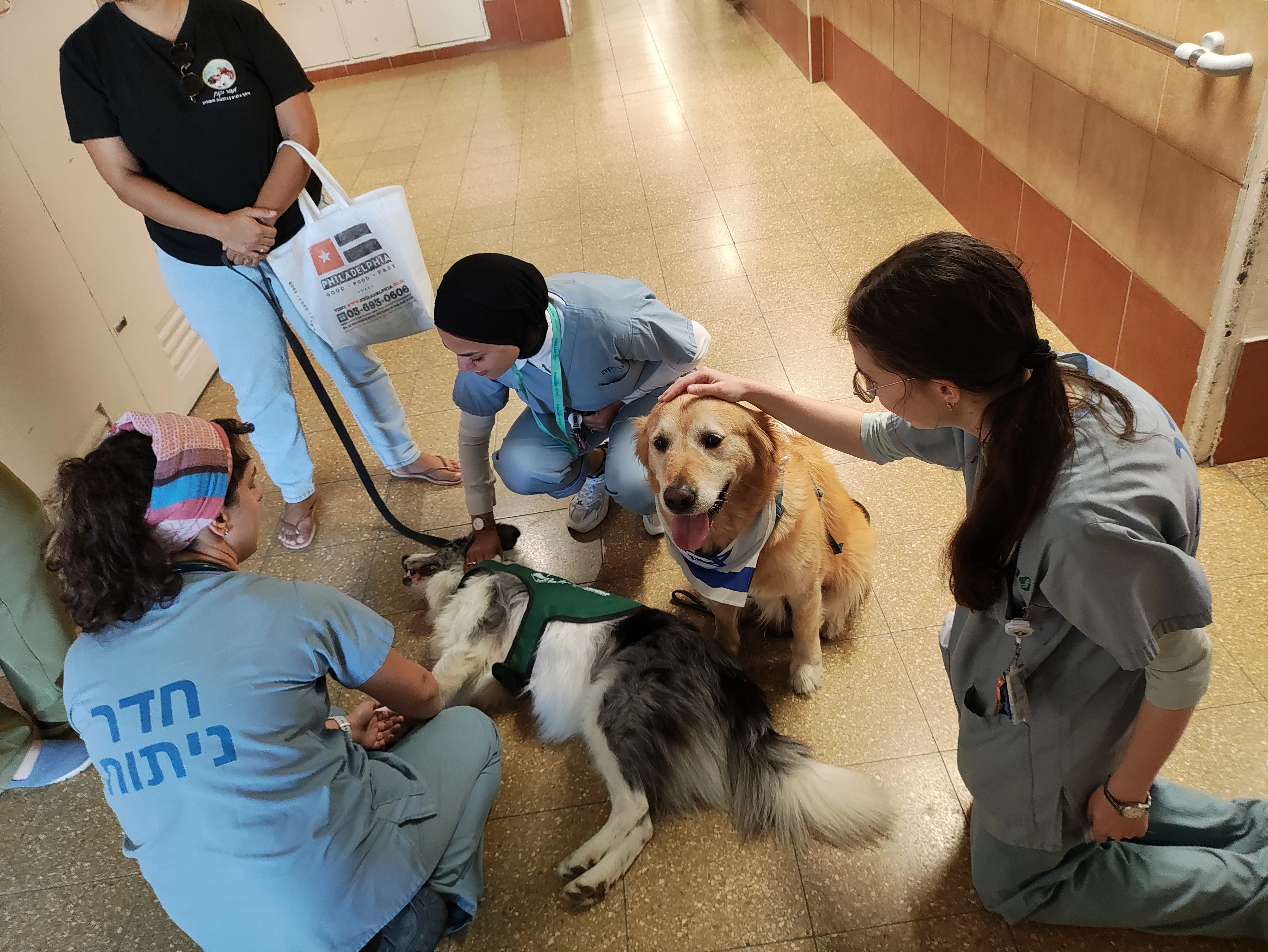 פעילות דרך הכלב