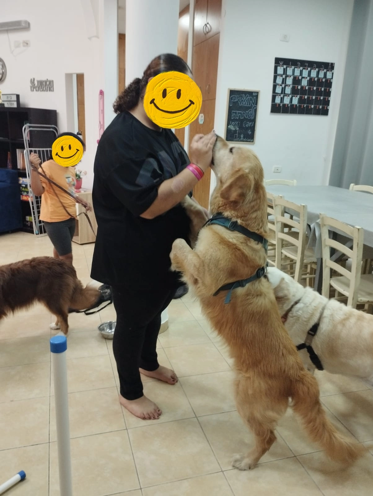 פעילות דרך הכלב