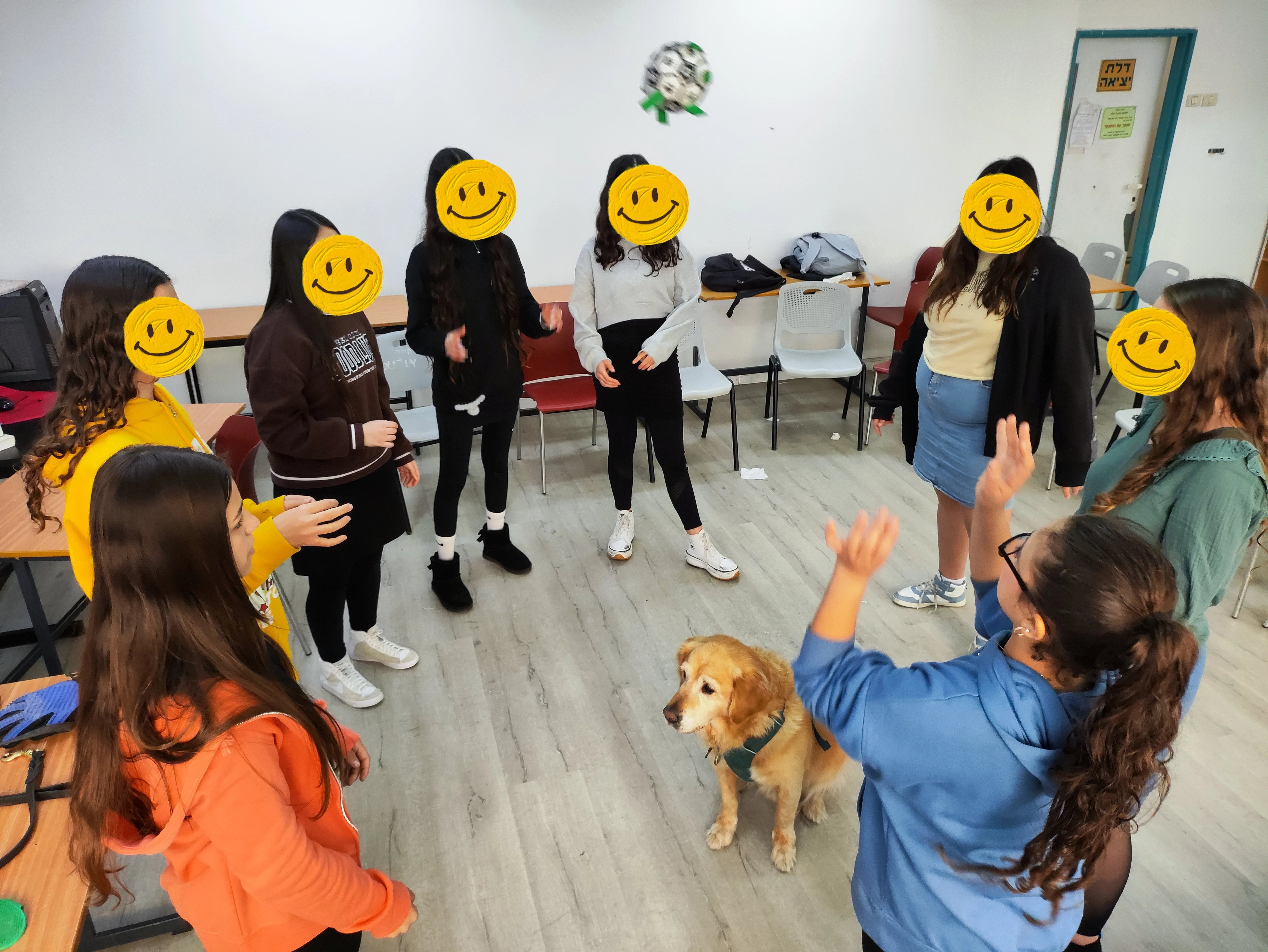 פעילות דרך הכלב