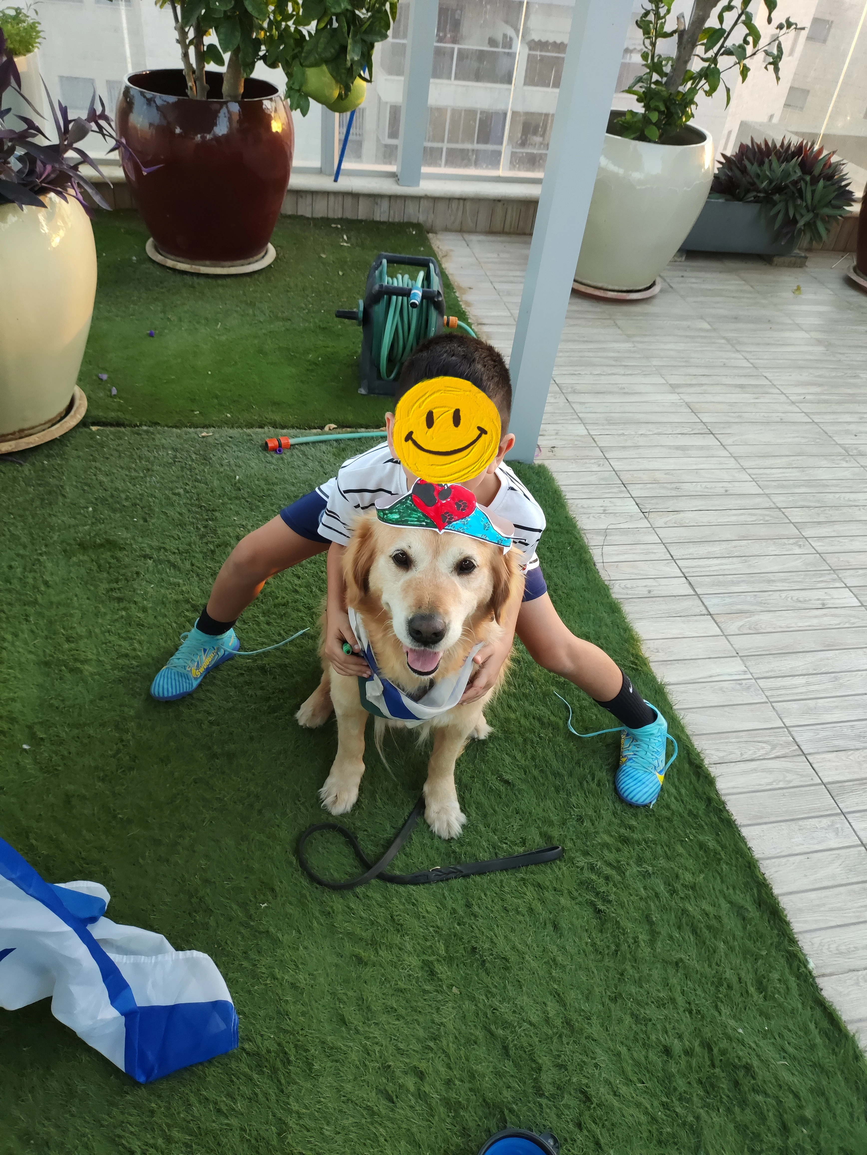 פעילות דרך הכלב