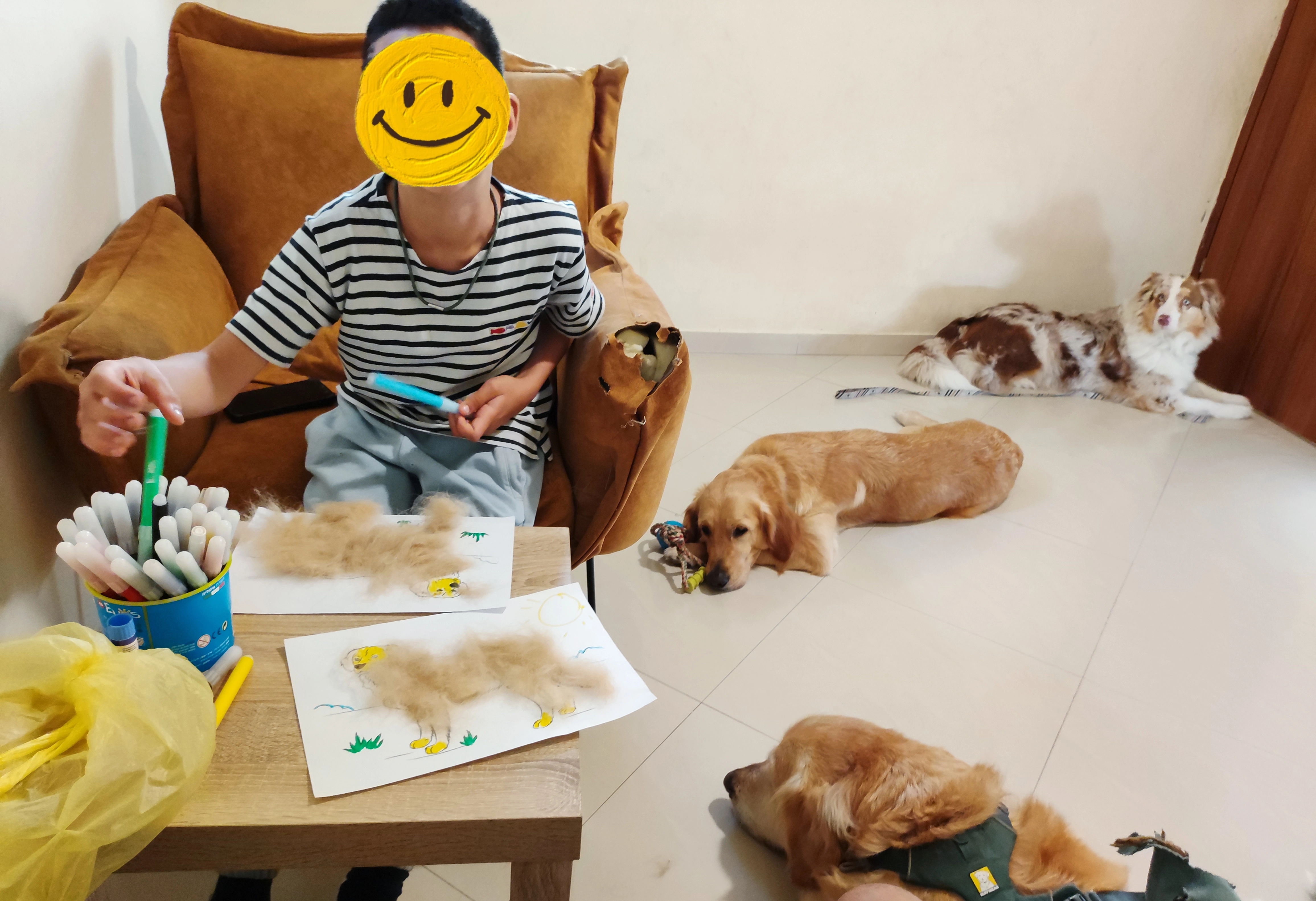 פעילות דרך הכלב