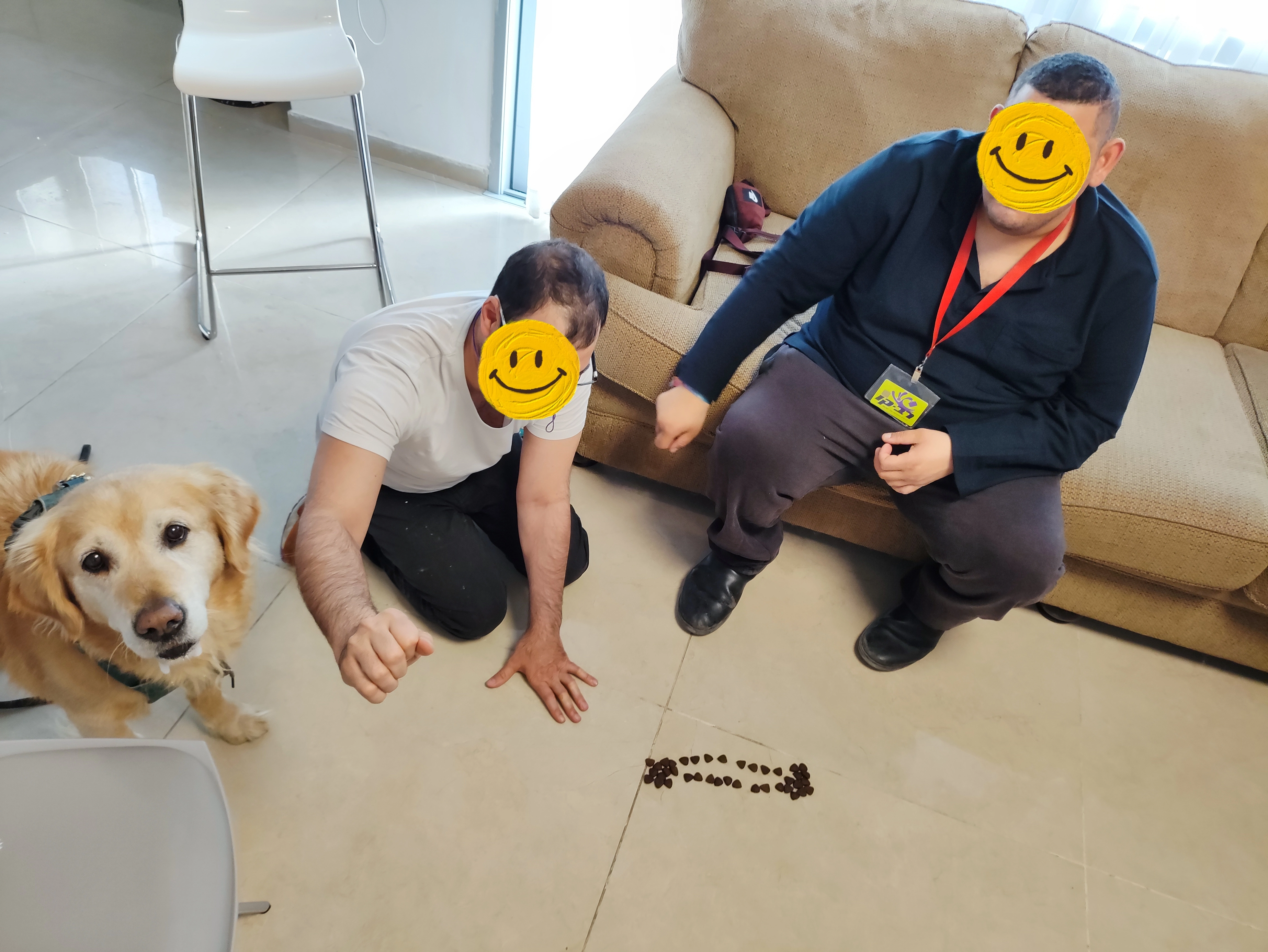 פעילות דרך הכלב