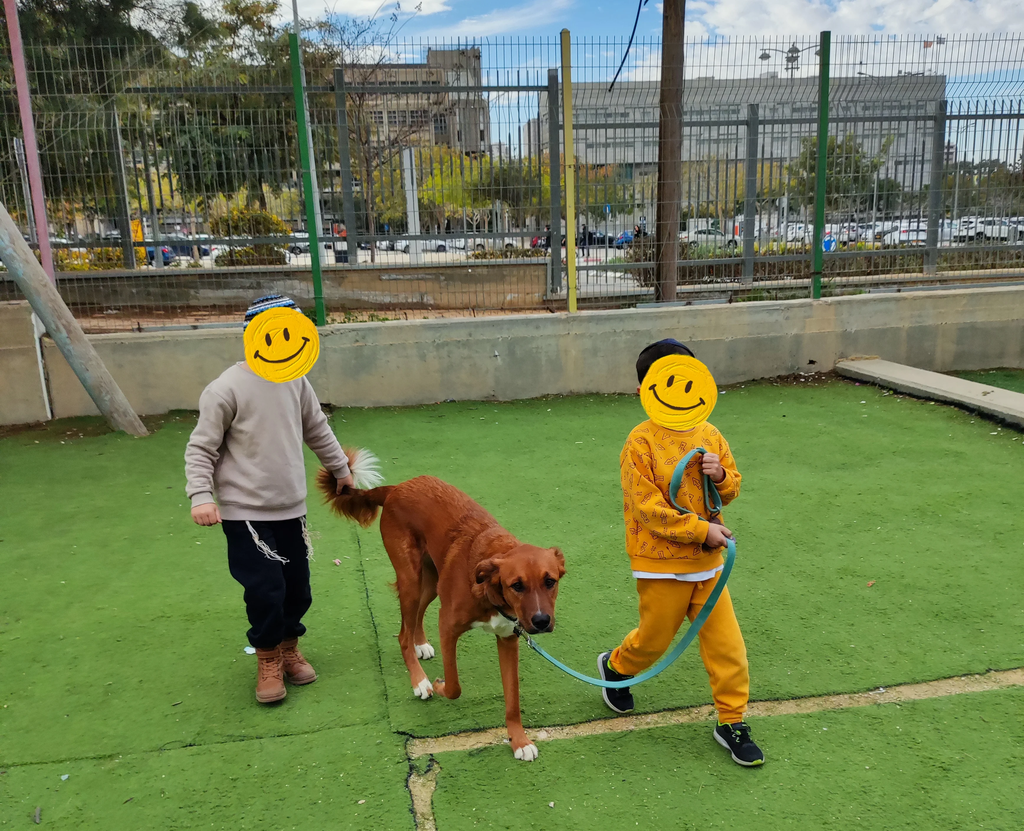 פעילות דרך הכלב