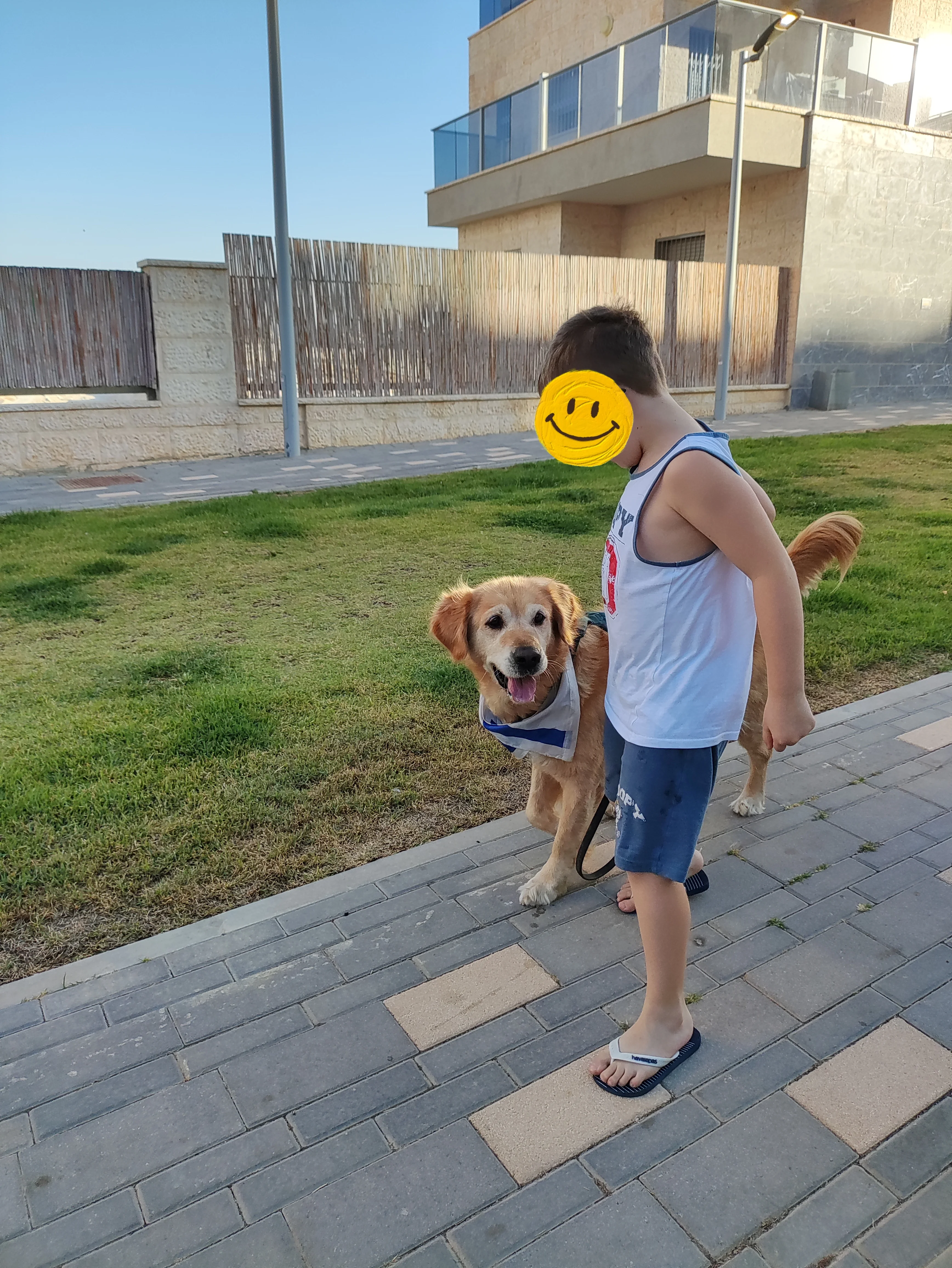 פעילות דרך הכלב